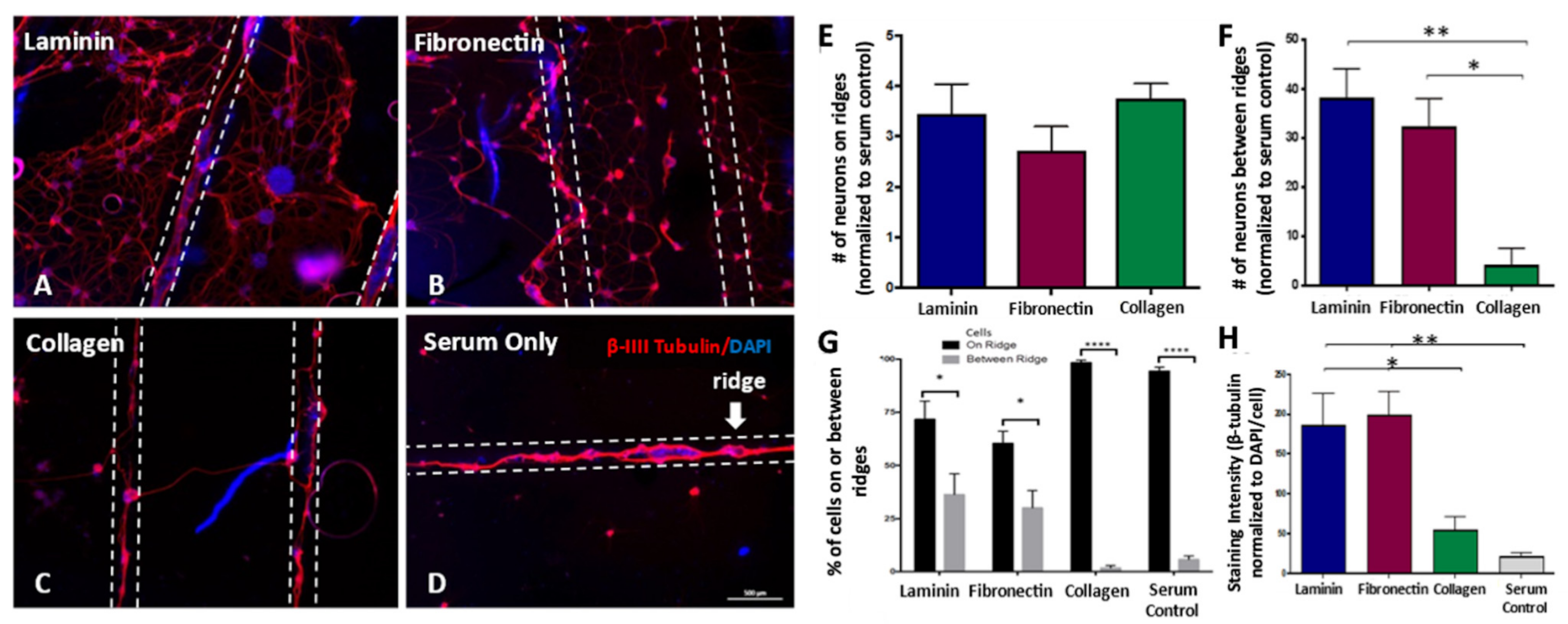 Biomedicines 09 00479 g003 Biomedicines 09 00479 g003