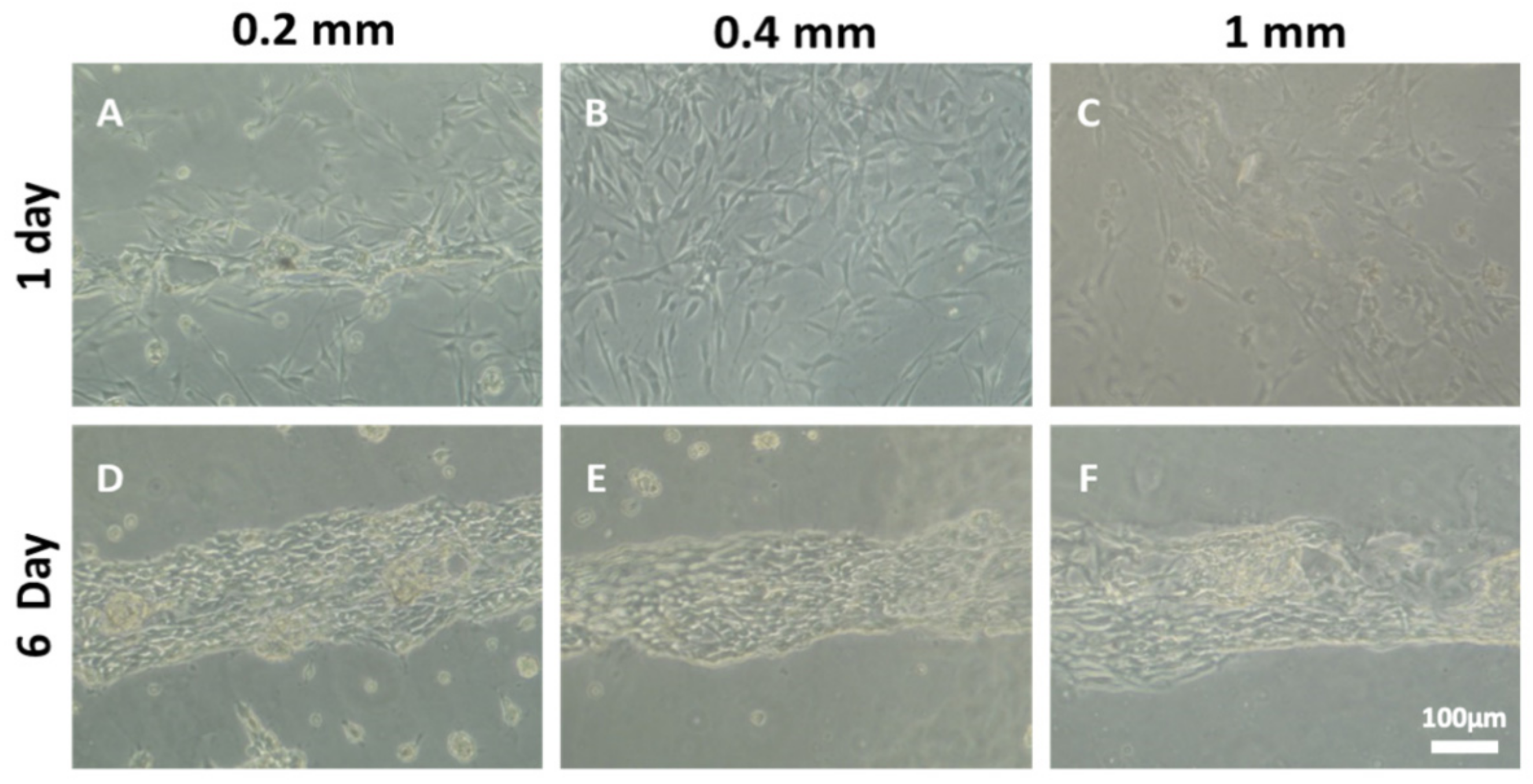 Biomedicines 09 00479 g005 Biomedicines 09 00479 g005