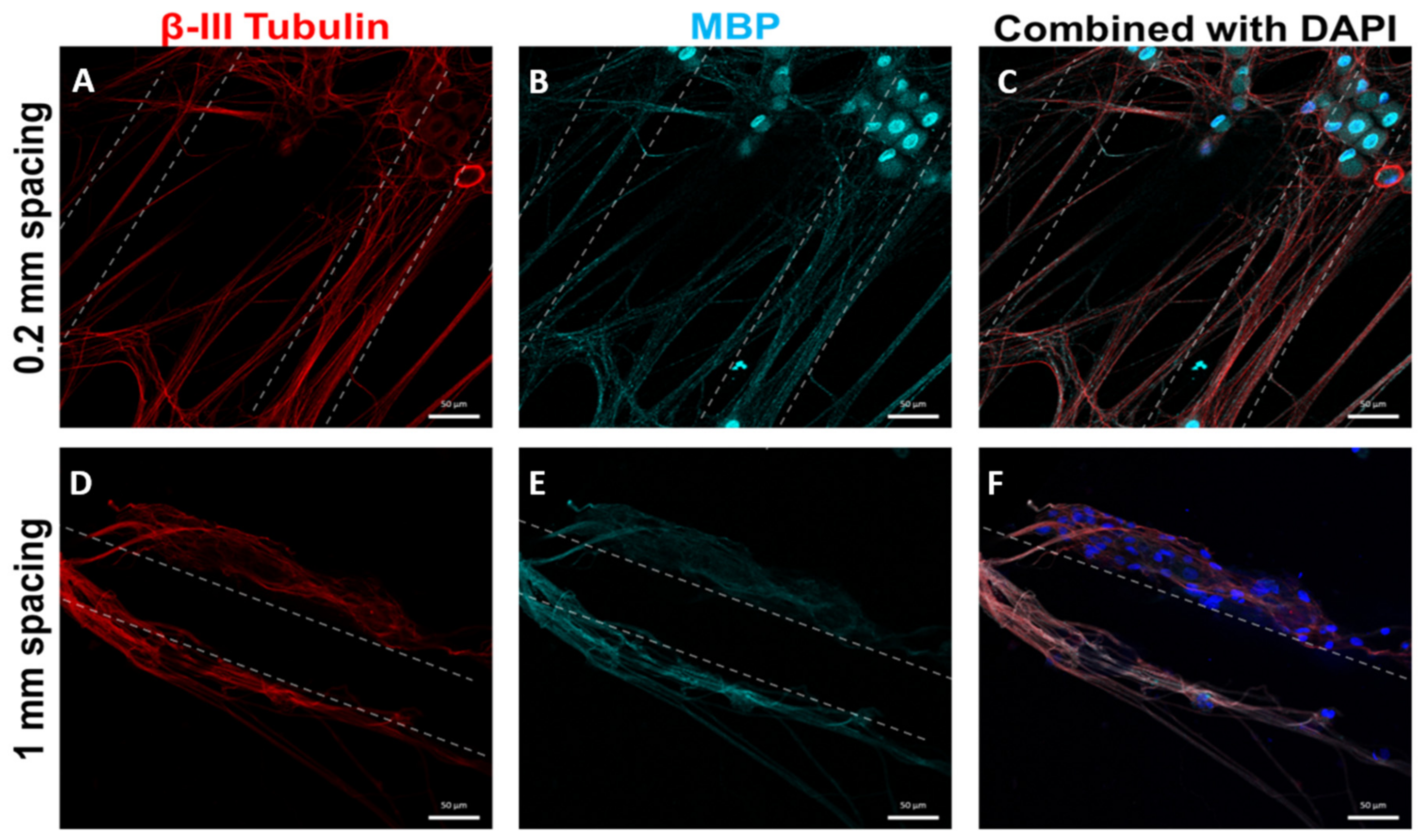 Biomedicines 09 00479 g006 Biomedicines 09 00479 g006