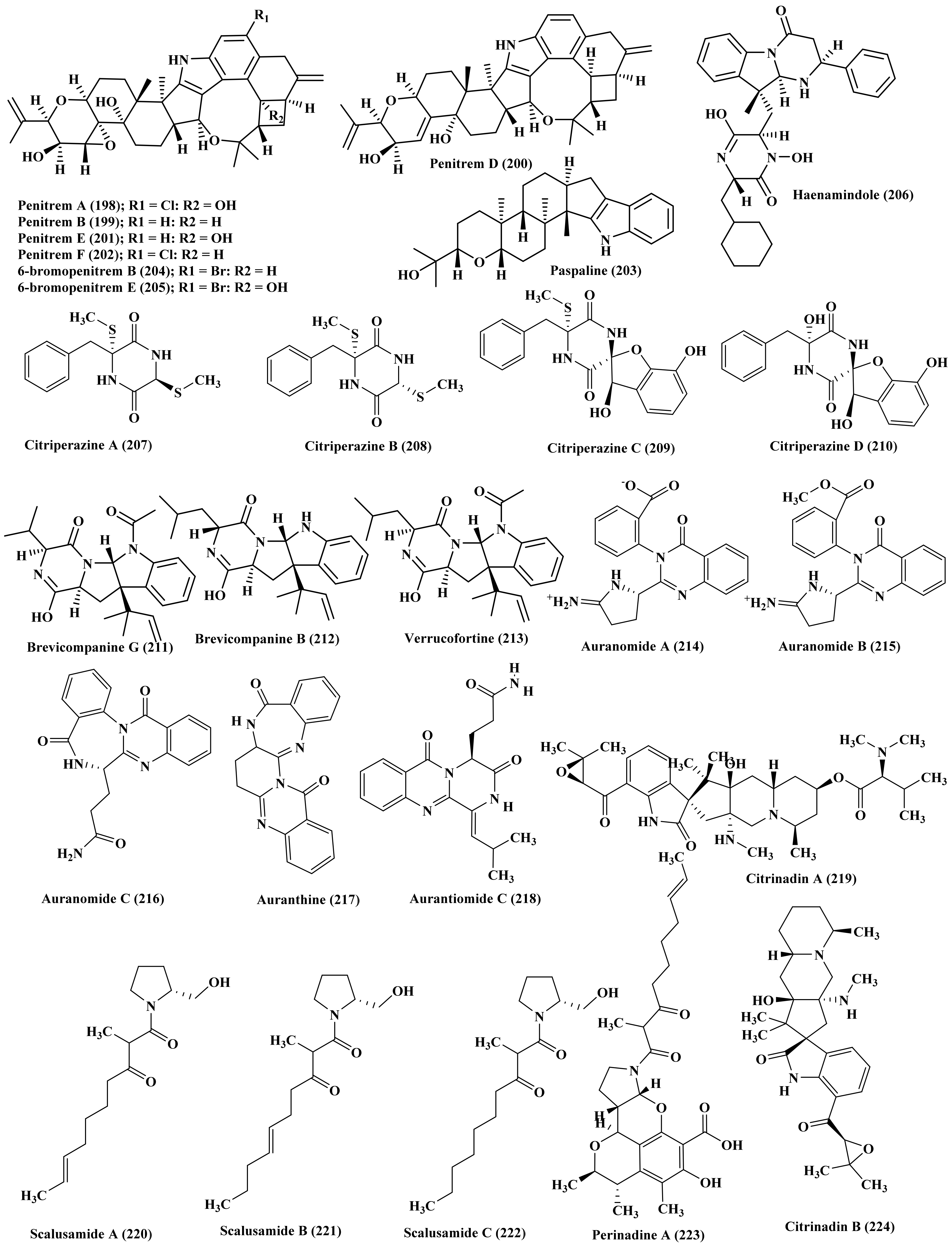 Biomedicines 09 00485 g011
