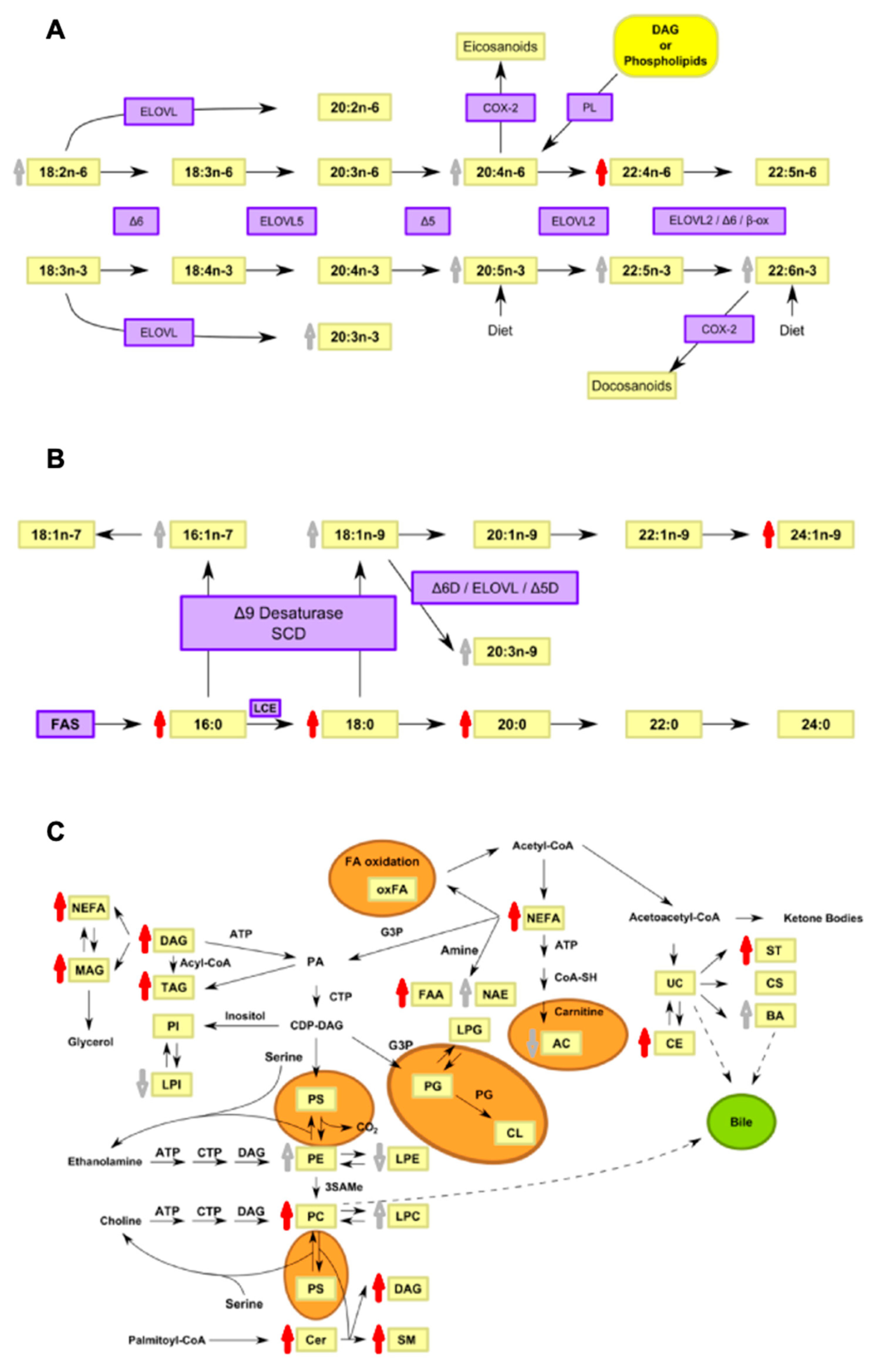 Biomedicines 09 00491 g006