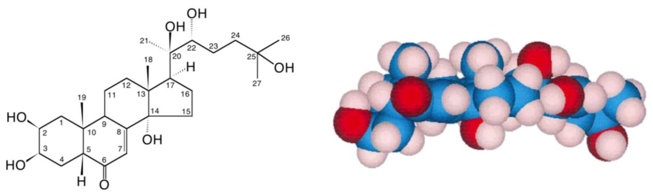 Biomedicines 09 00492 g001