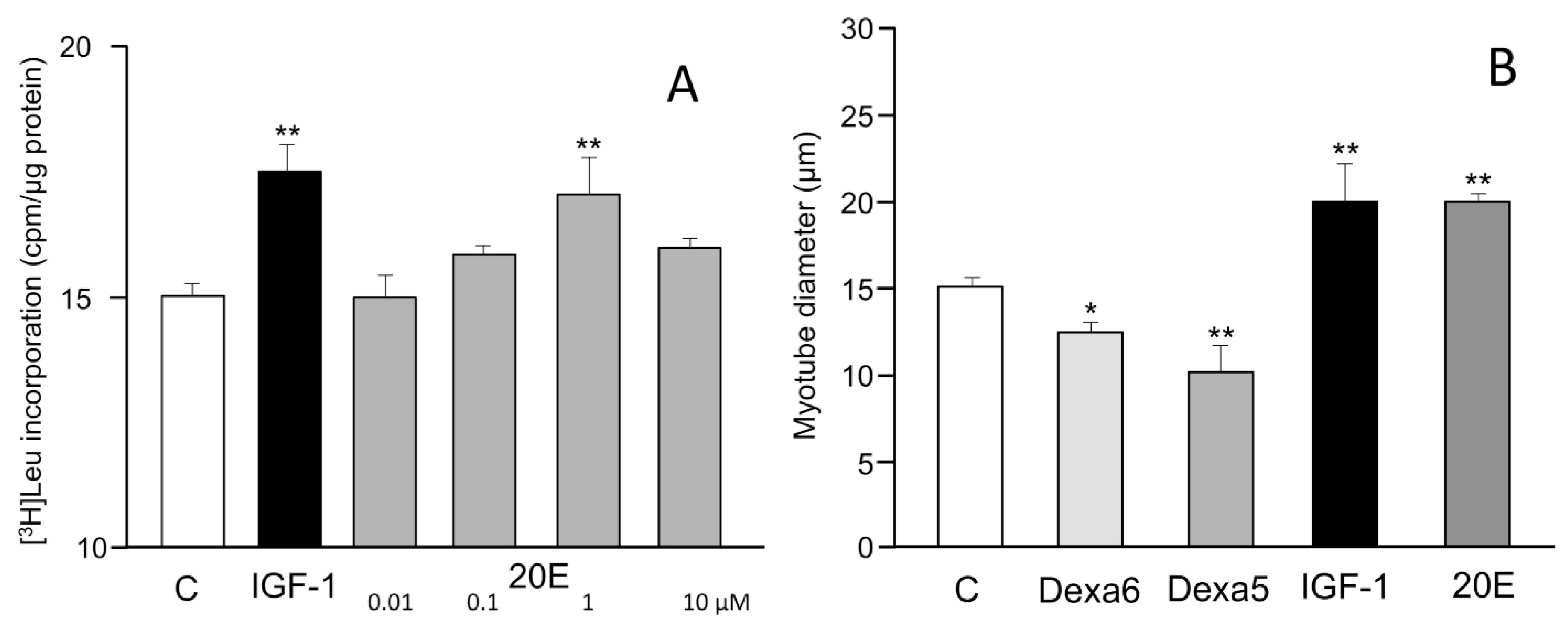 Biomedicines 09 00492 g002