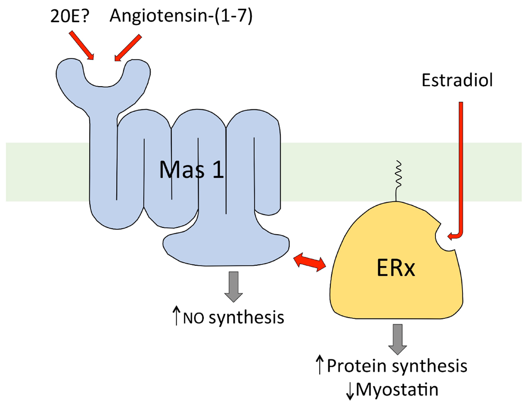 Biomedicines 09 00492 g006