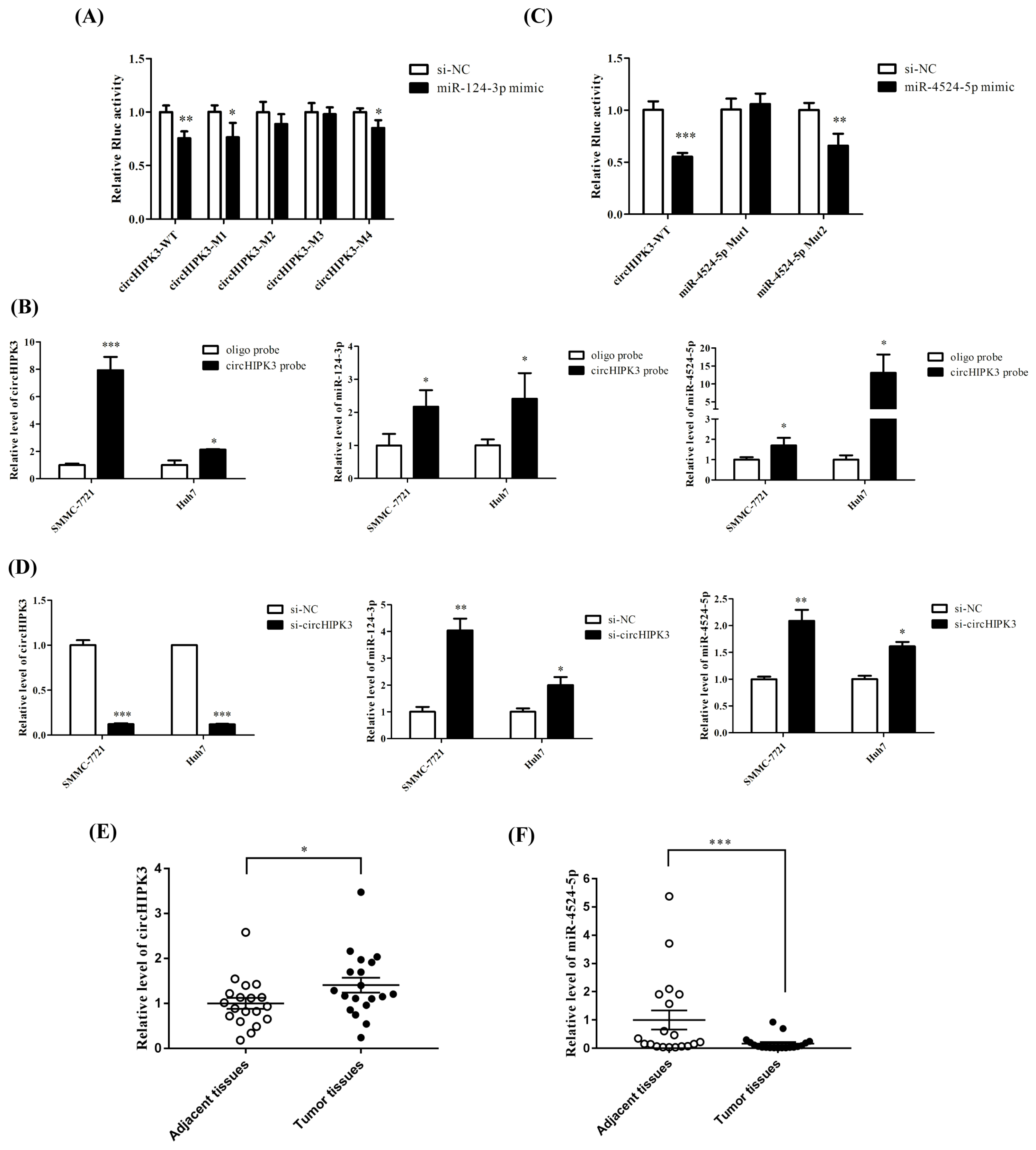 Biomedicines 09 00497 g003