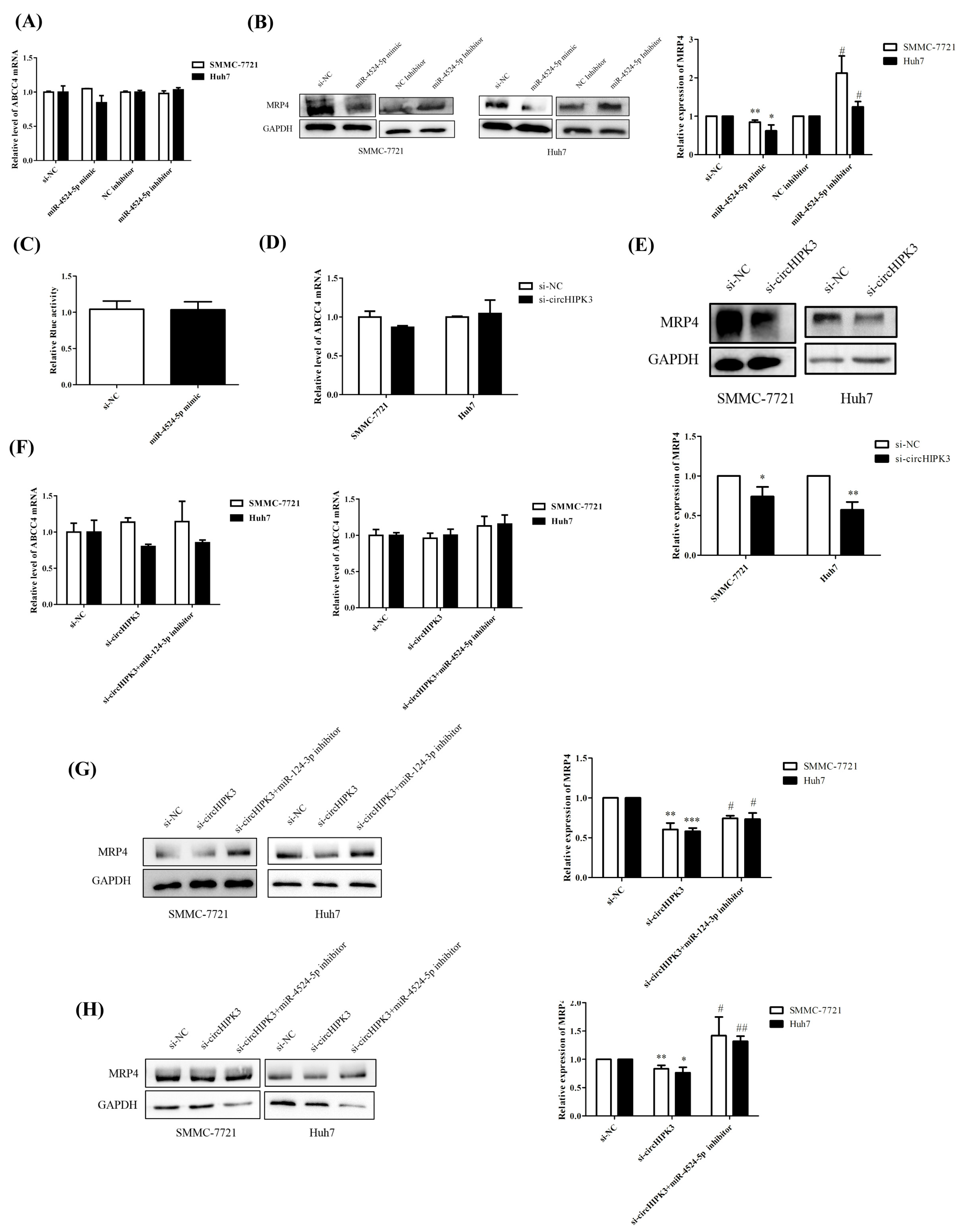 Biomedicines 09 00497 g004