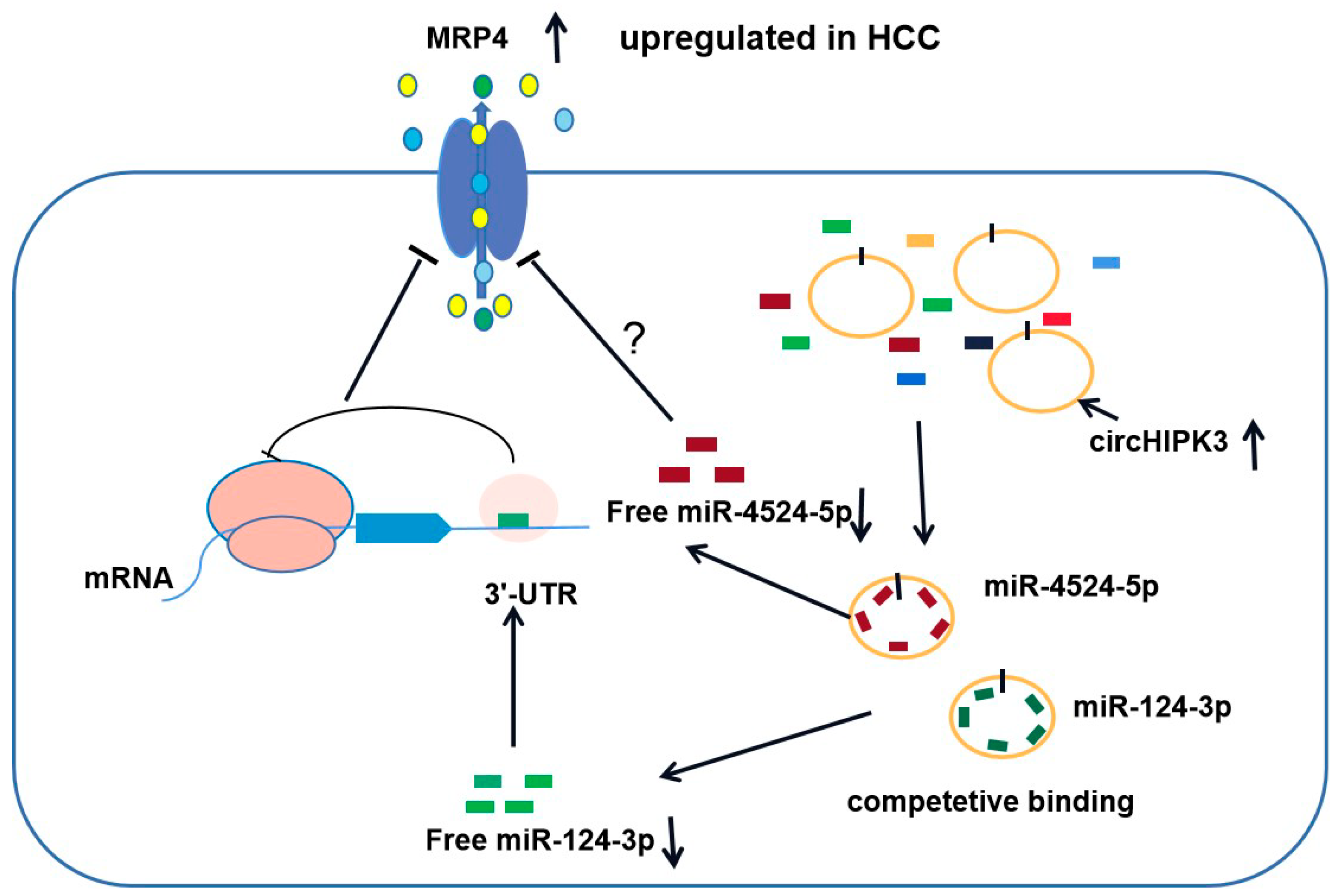 Biomedicines 09 00497 g005
