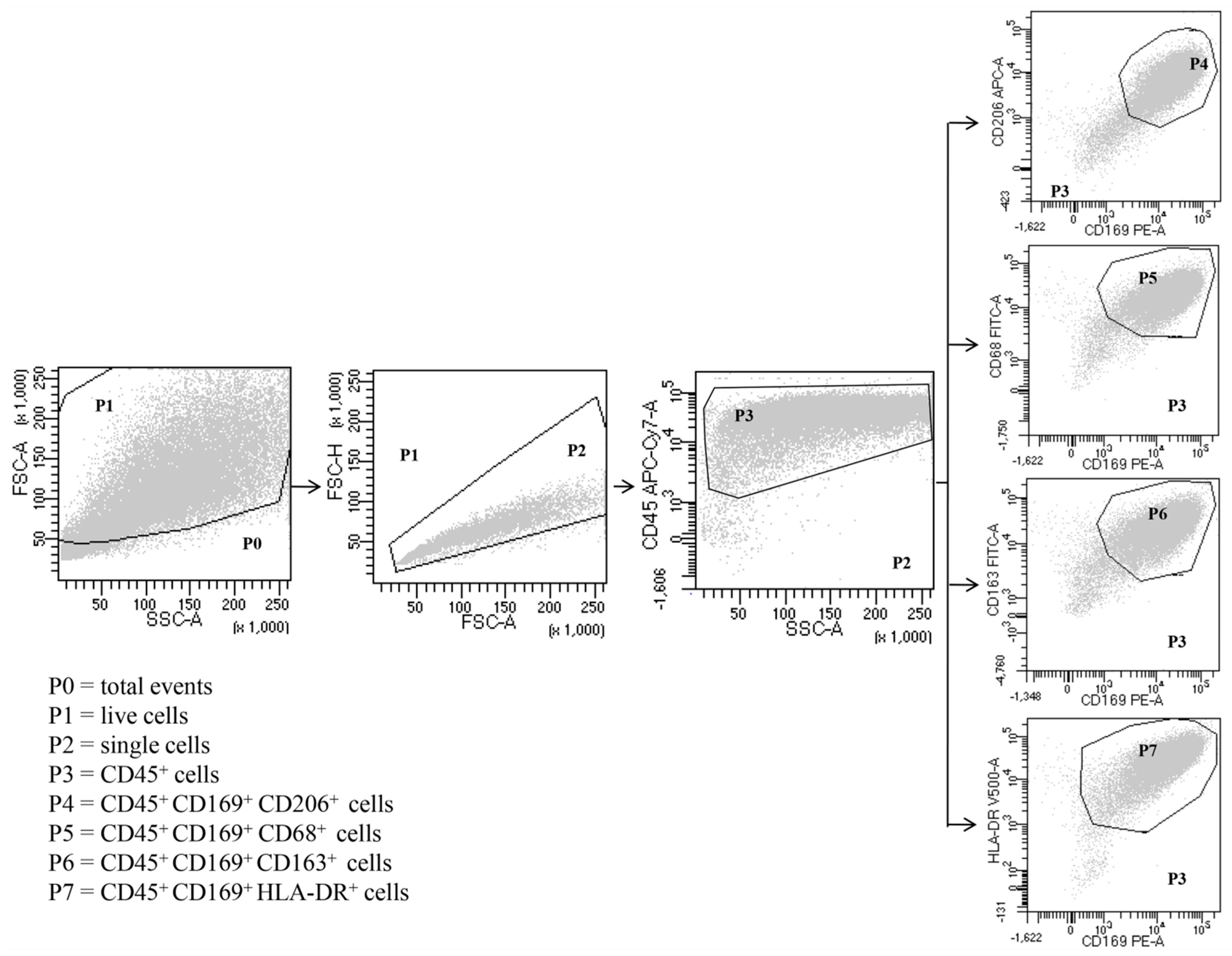 Biomedicines 09 00505 g001 Biomedicines 09 00505 g001