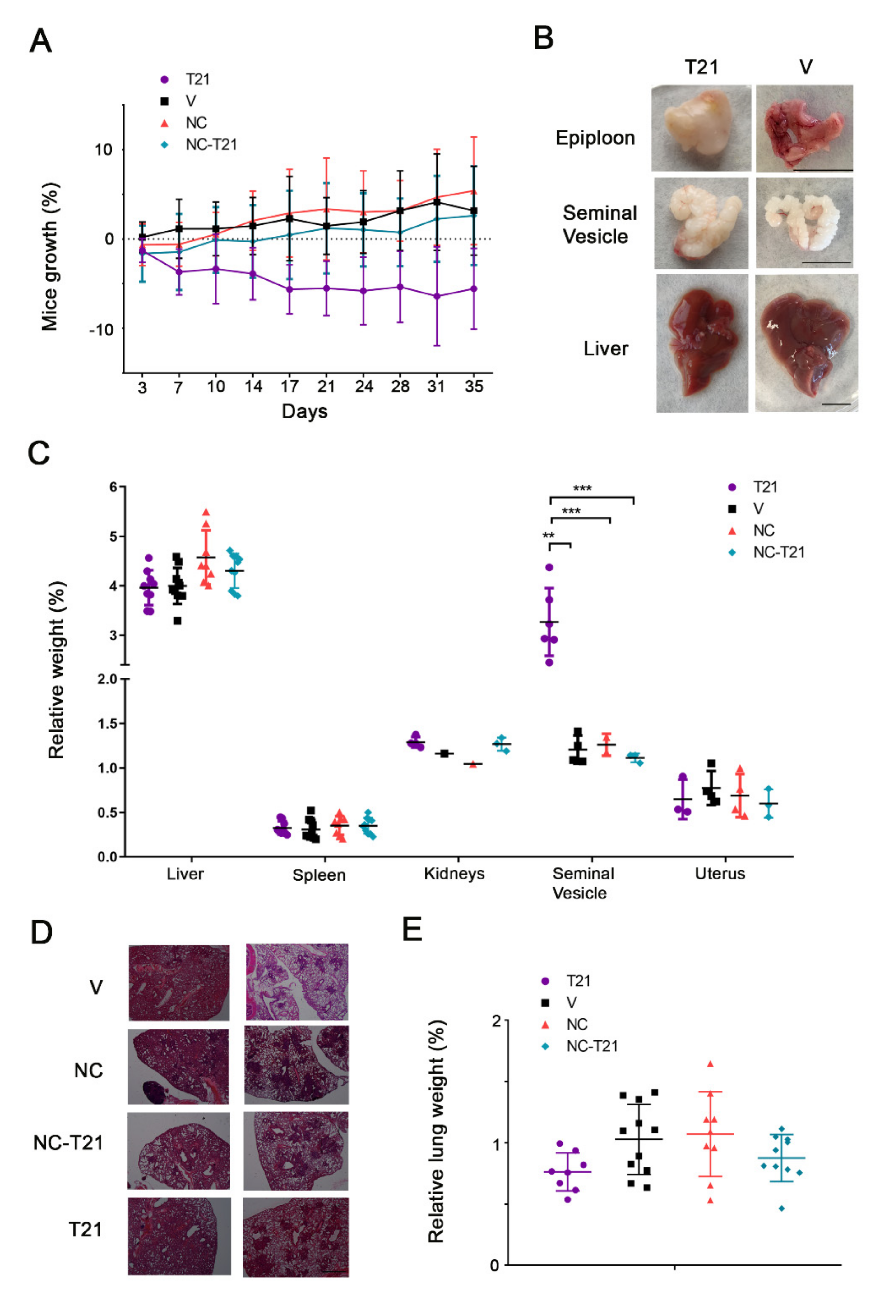 Biomedicines 09 00508 g010