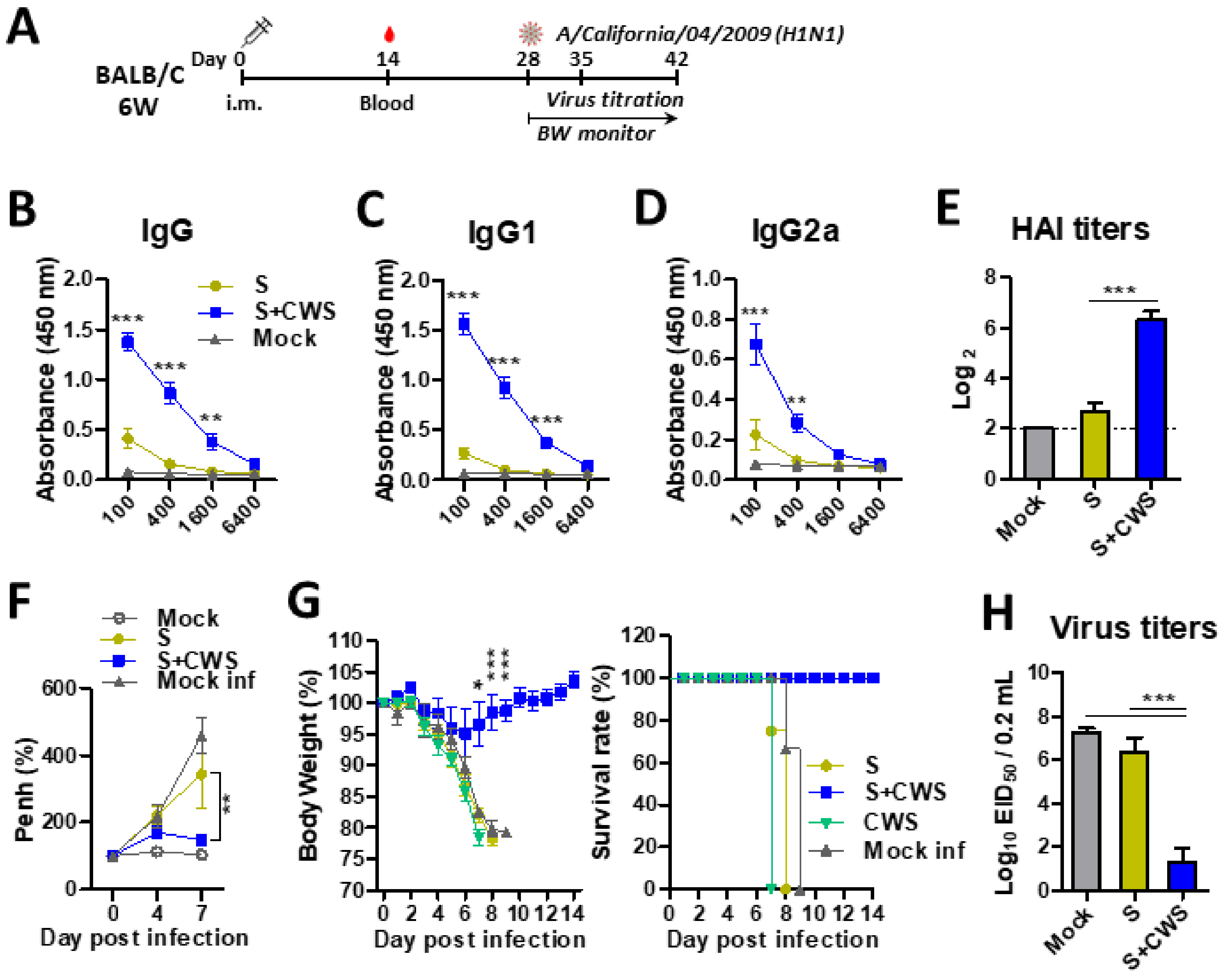 Biomedicines 09 00516 g001