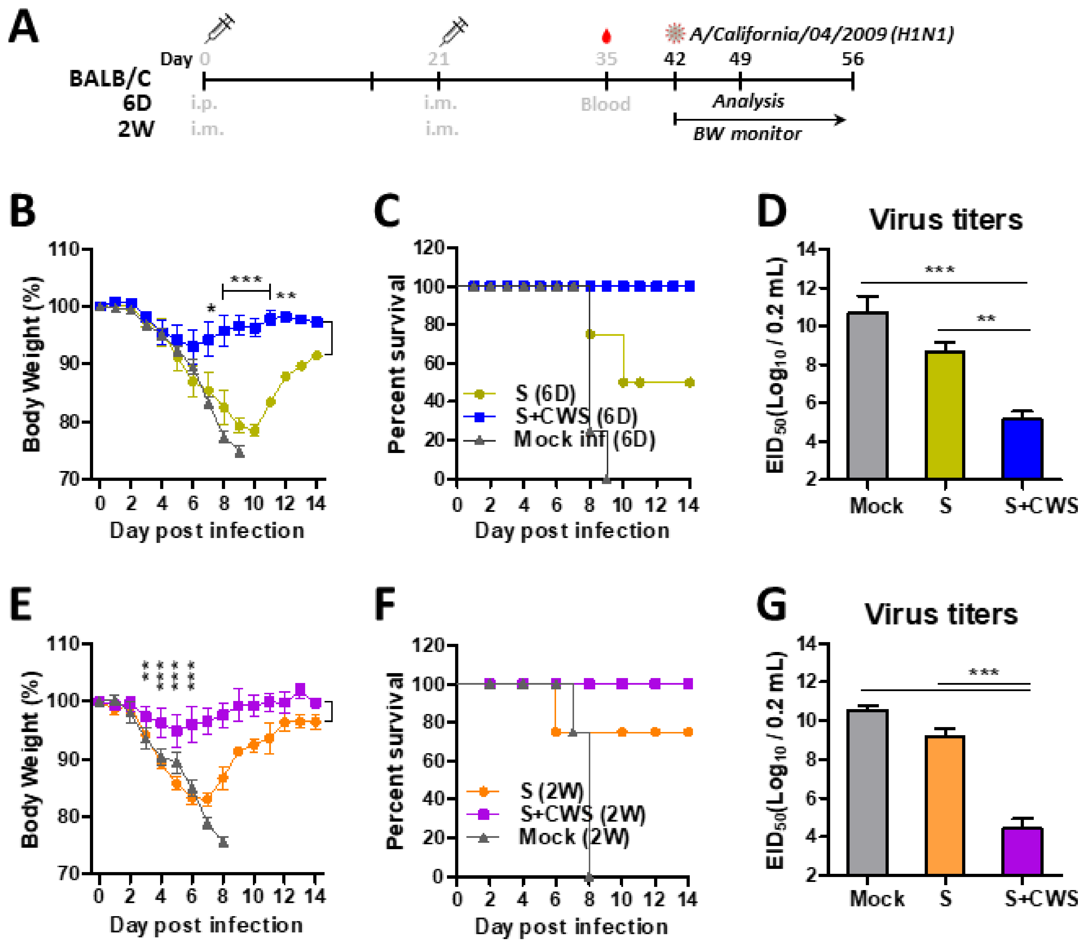 Biomedicines 09 00516 g003
