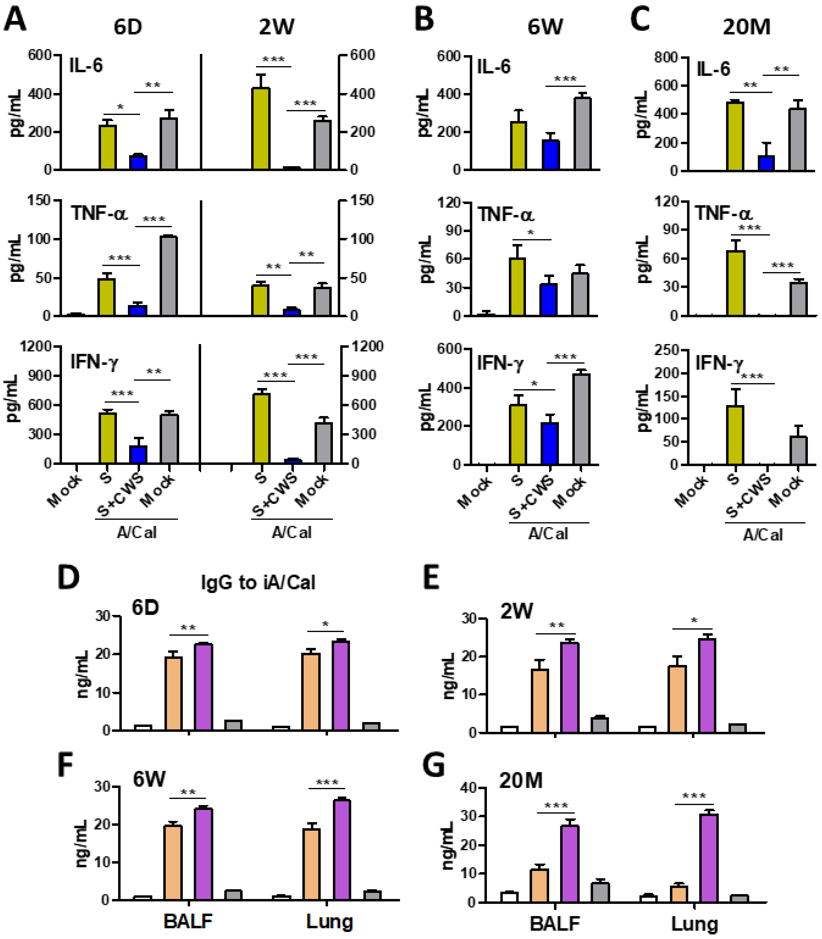 Biomedicines 09 00516 g006