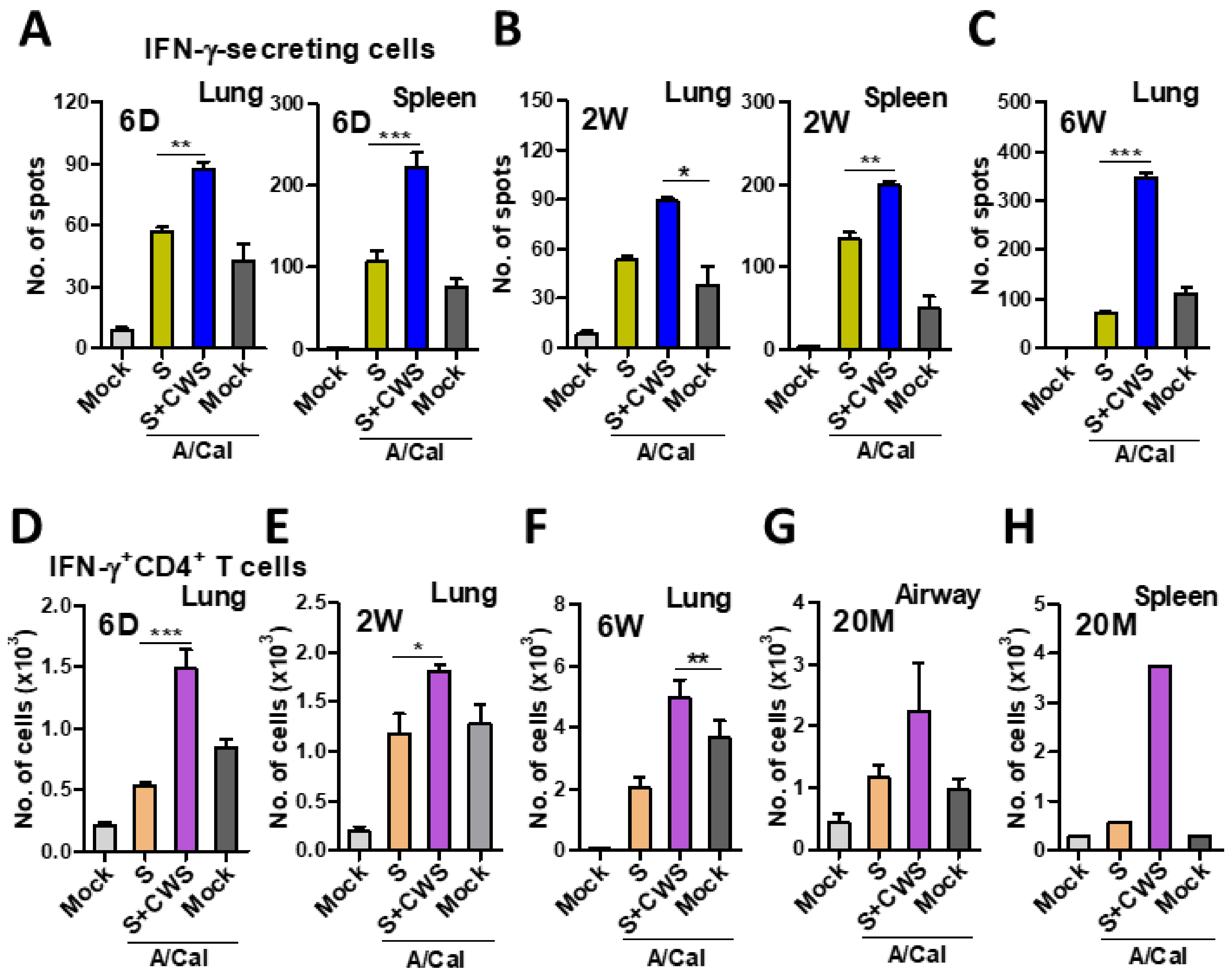 Biomedicines 09 00516 g007