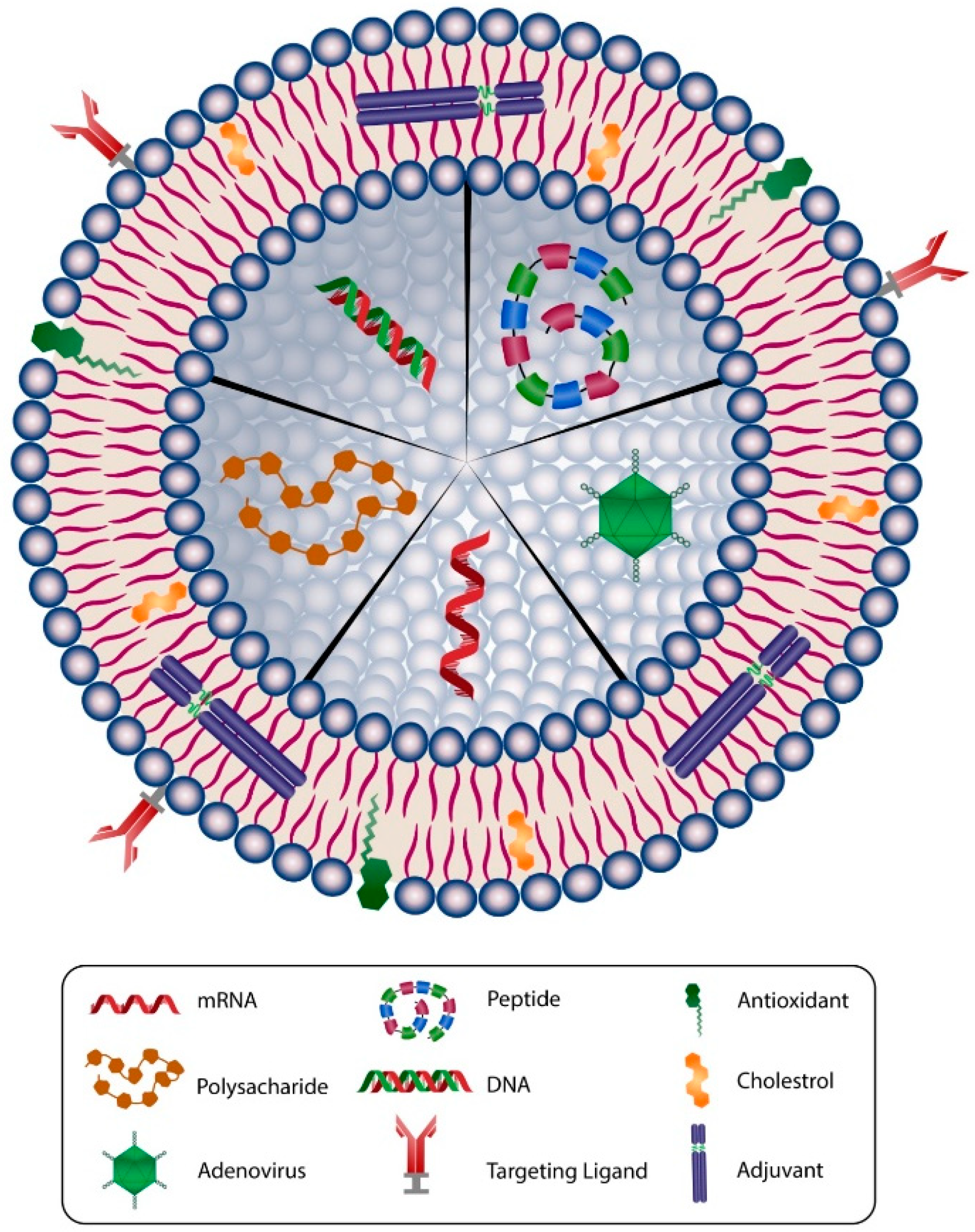Biomedicines 09 00520 g003 Biomedicines 09 00520 g003