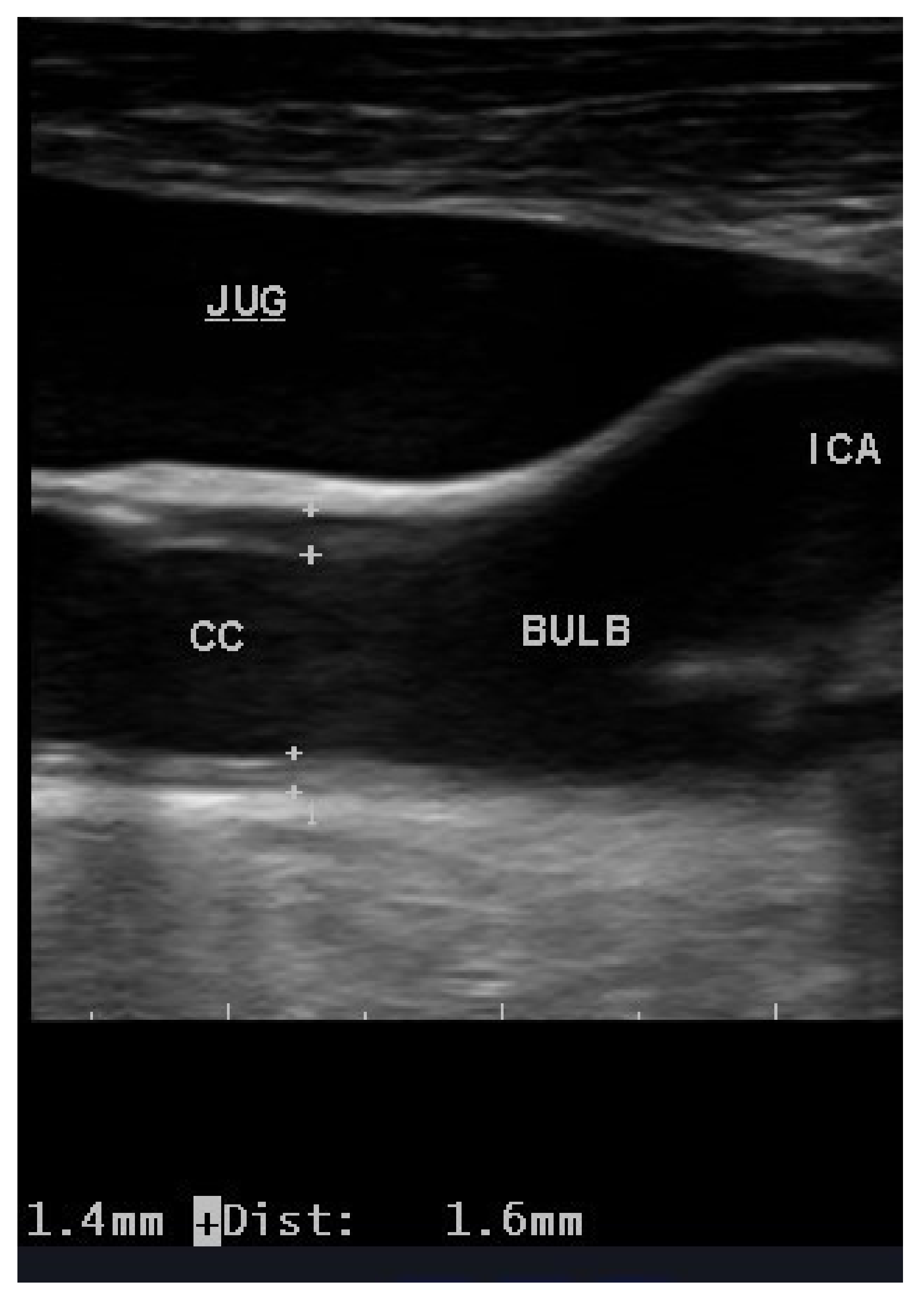 Biomedicines 09 00521 g001 Biomedicines 09 00521 g001