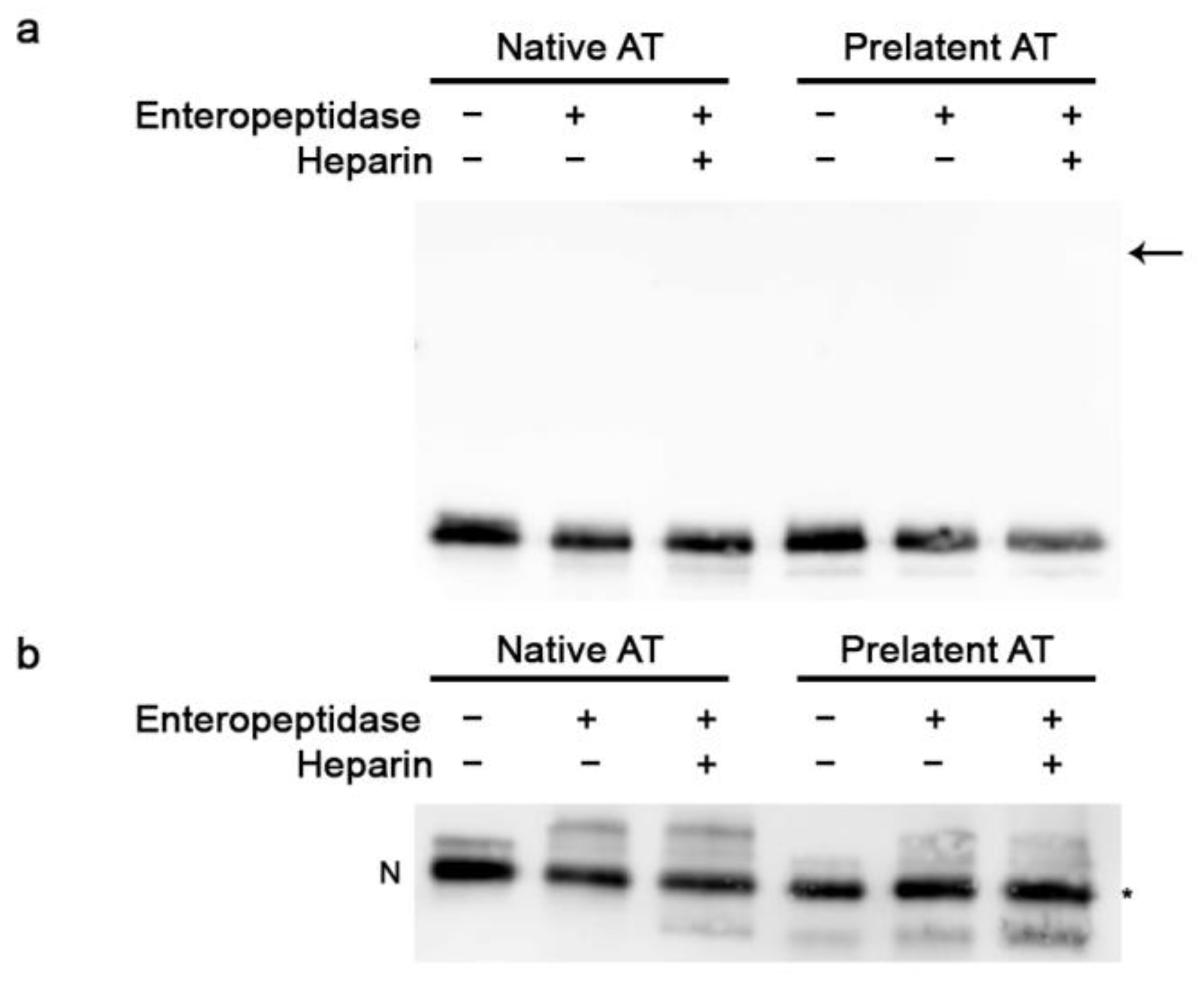 Biomedicines 09 00523 g001