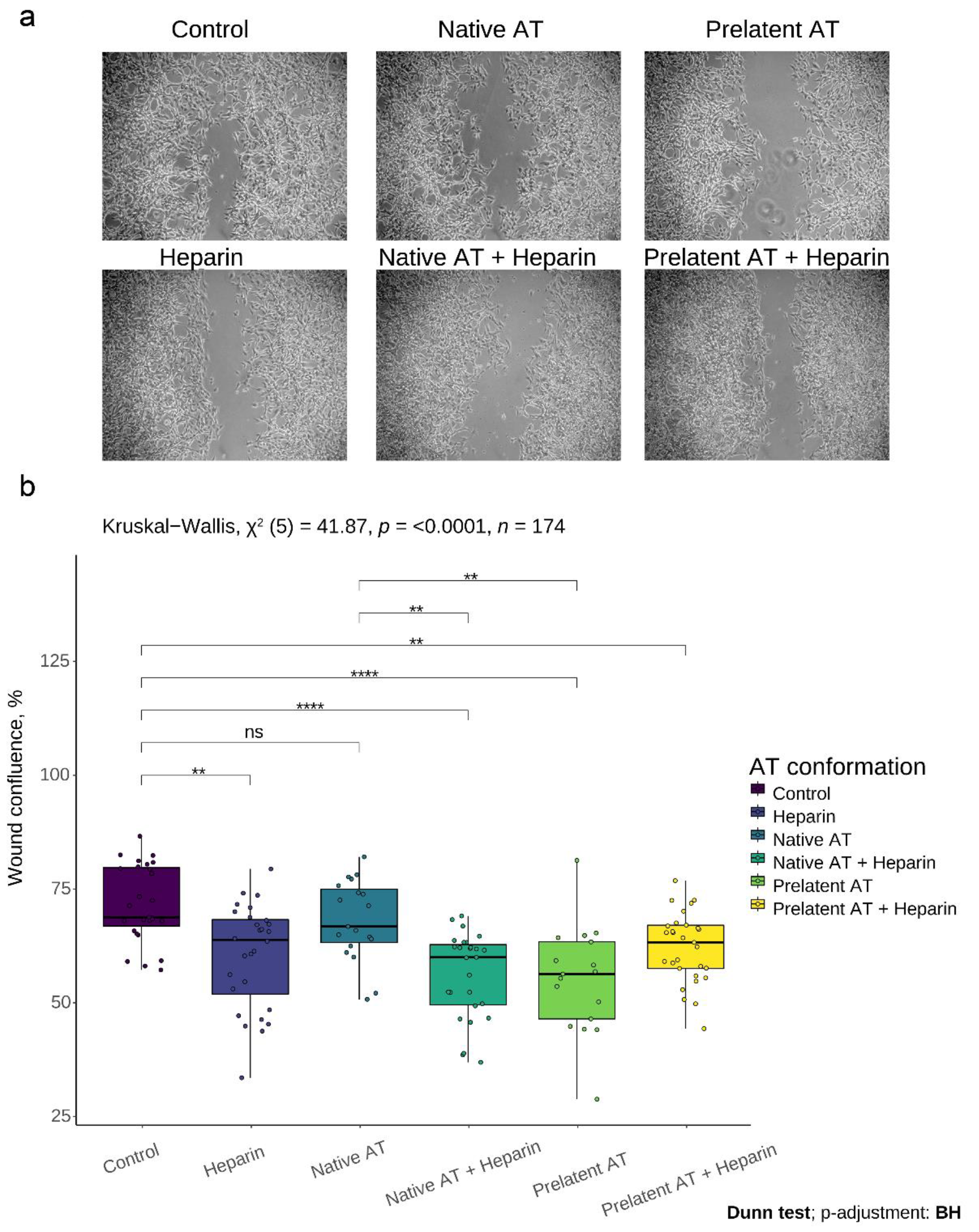 Biomedicines 09 00523 g003