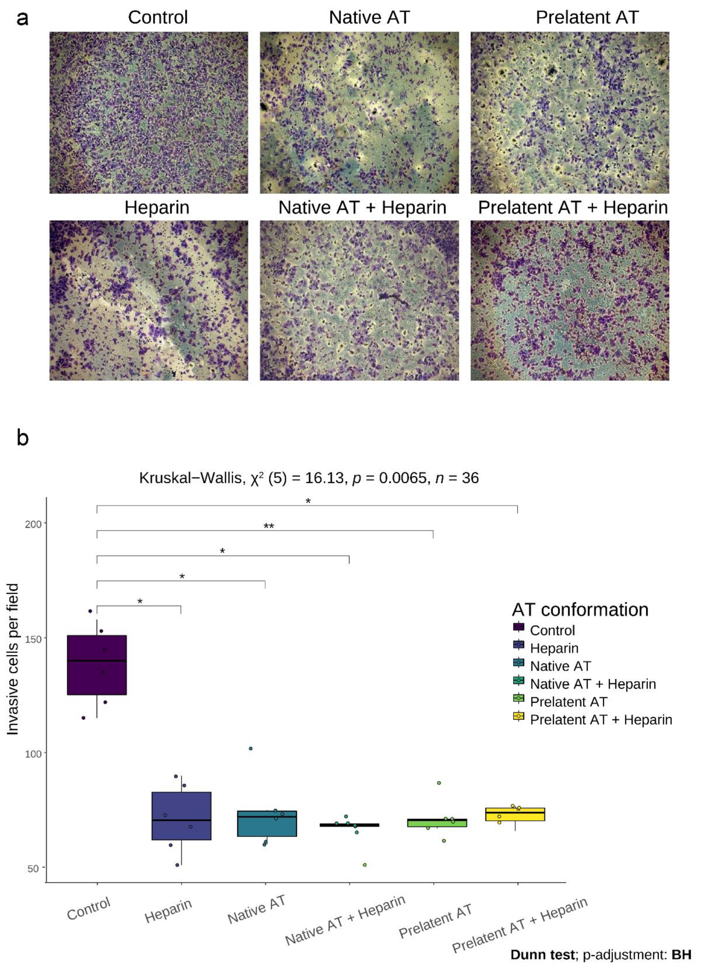 Biomedicines 09 00523 g004
