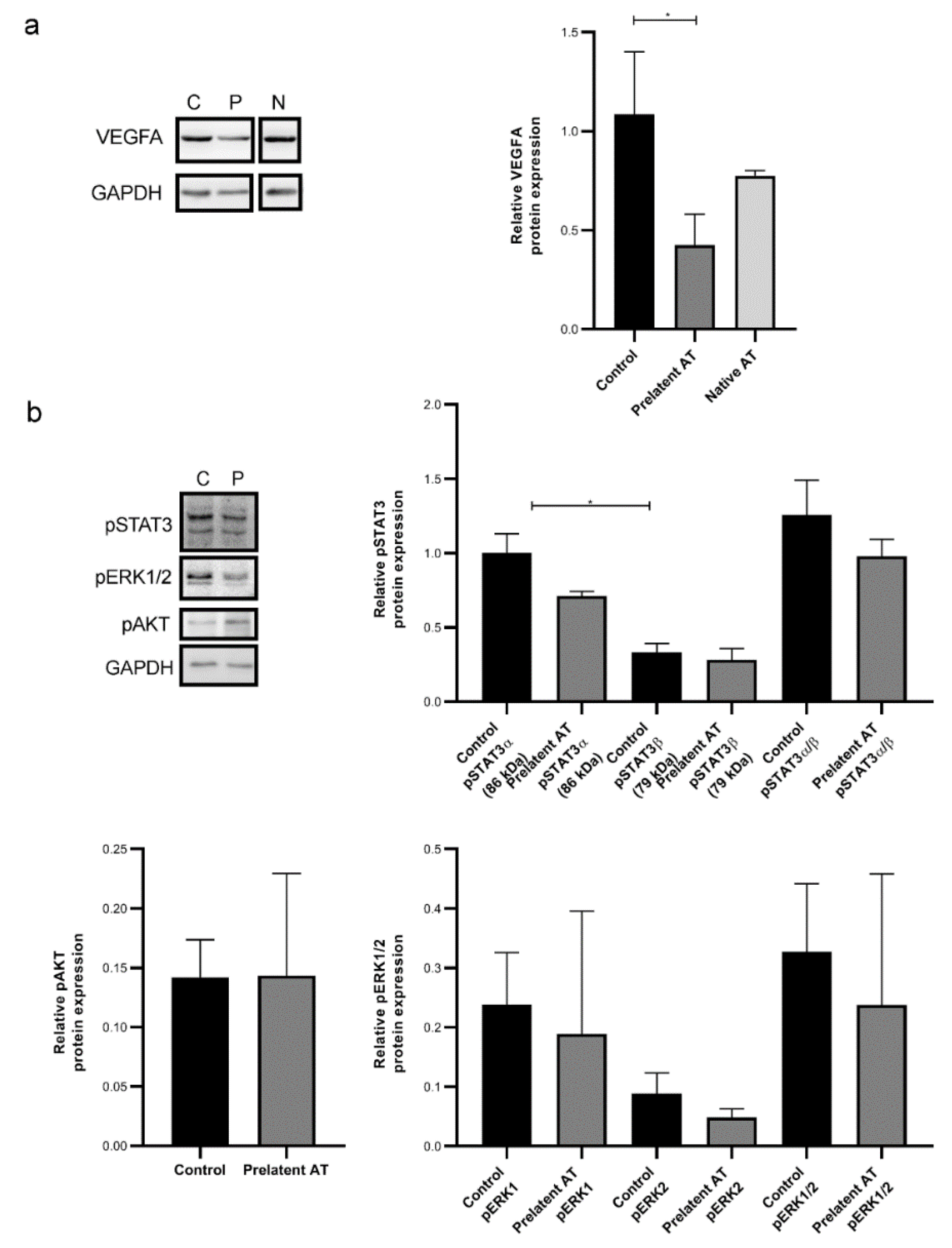 Biomedicines 09 00523 g005