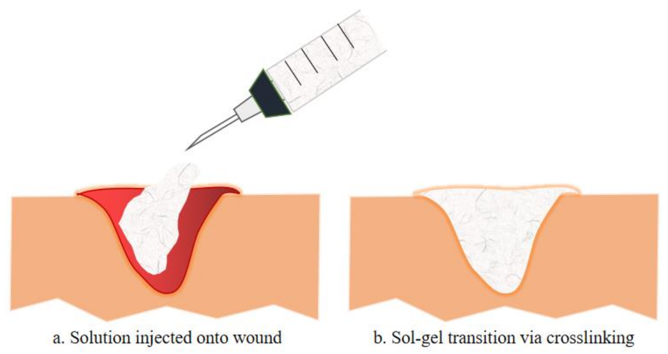 Biomedicines 09 00527 g002