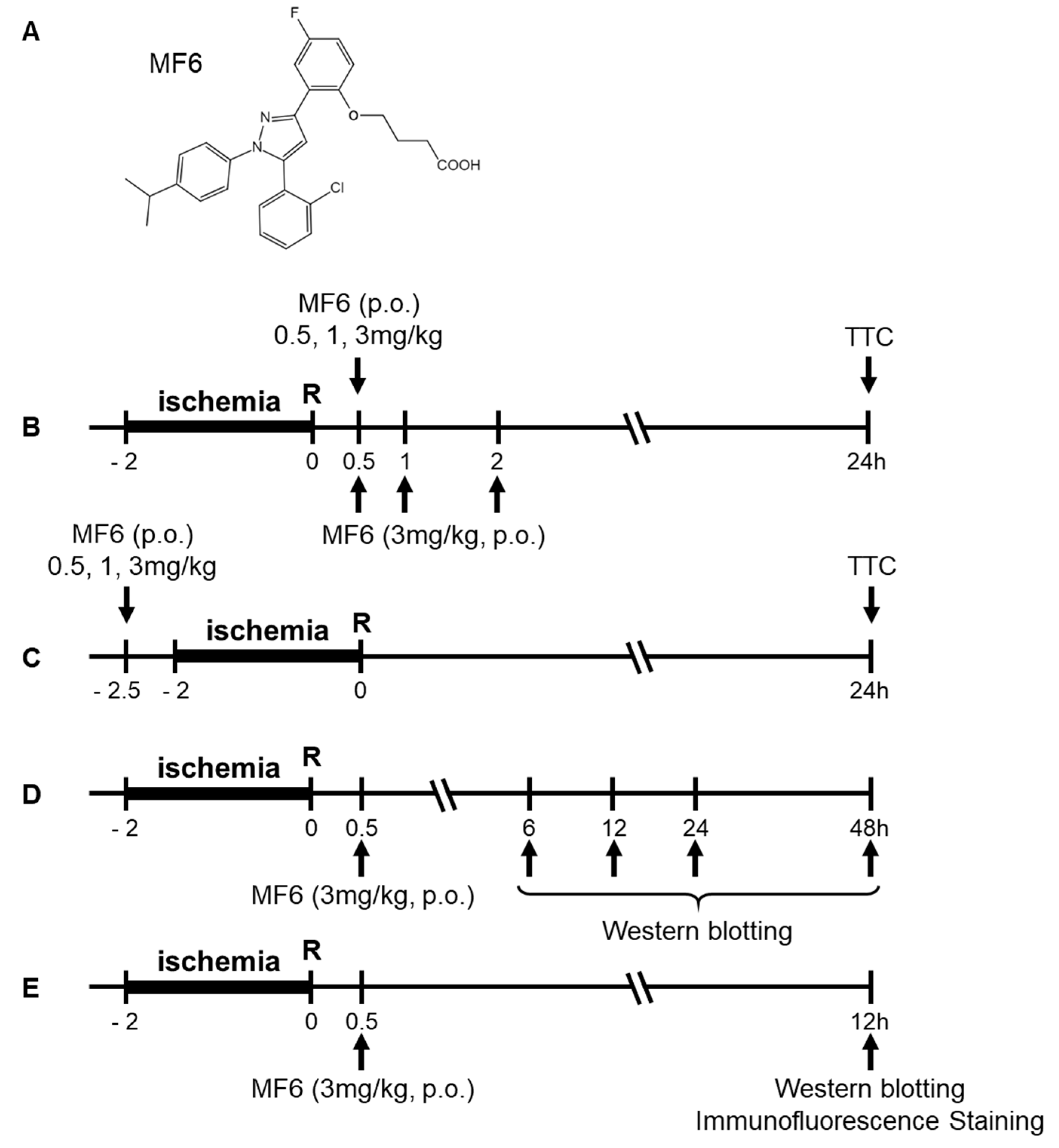 Biomedicines 09 00529 g001 Biomedicines 09 00529 g001