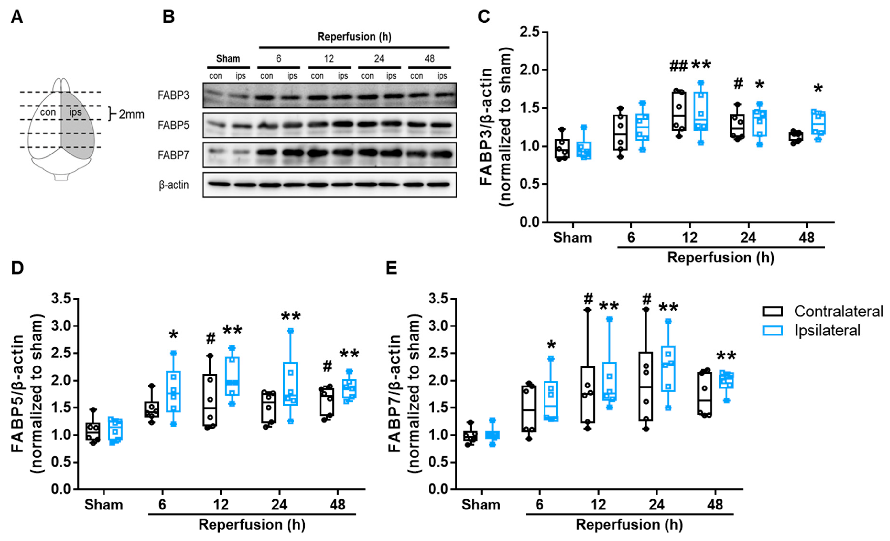 Biomedicines 09 00529 g004 Biomedicines 09 00529 g004