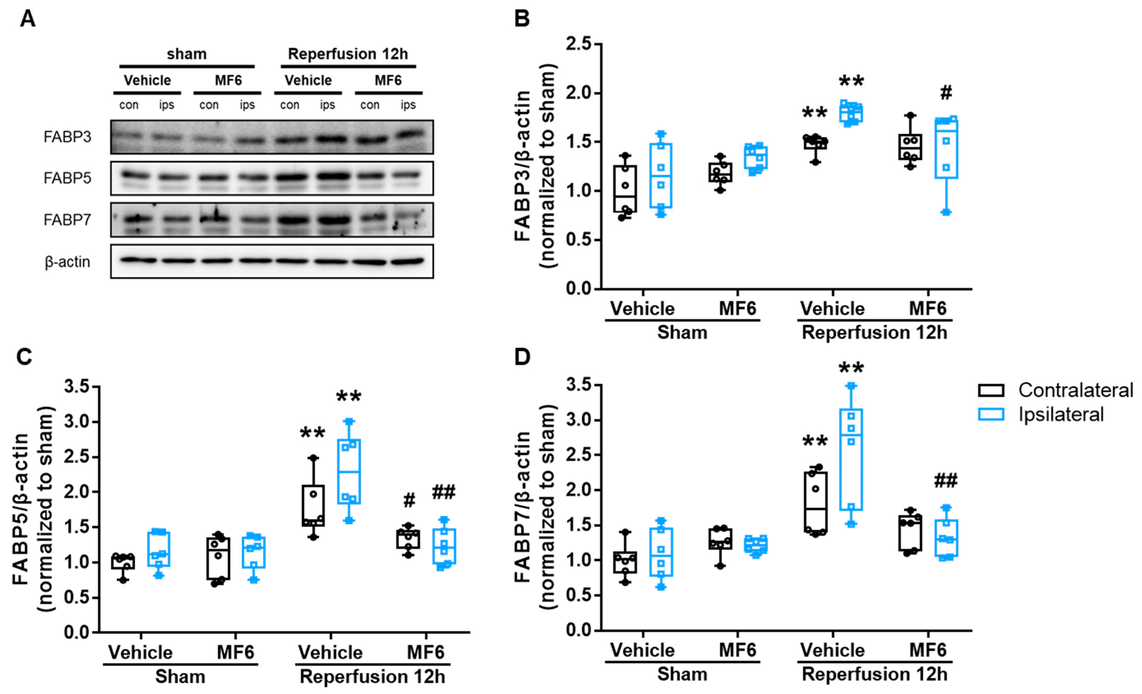 Biomedicines 09 00529 g006 Biomedicines 09 00529 g006