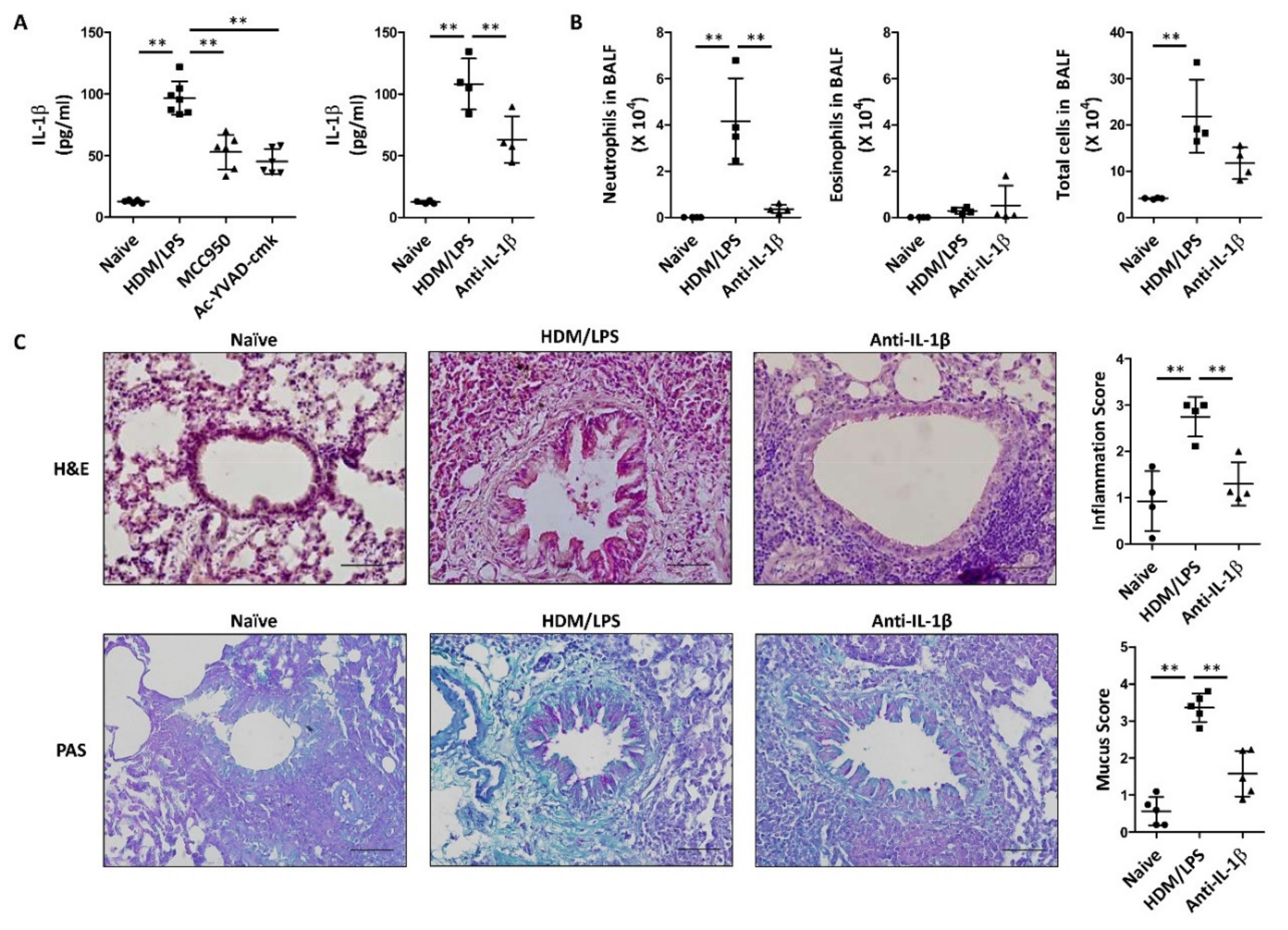 Biomedicines 09 00535 g002