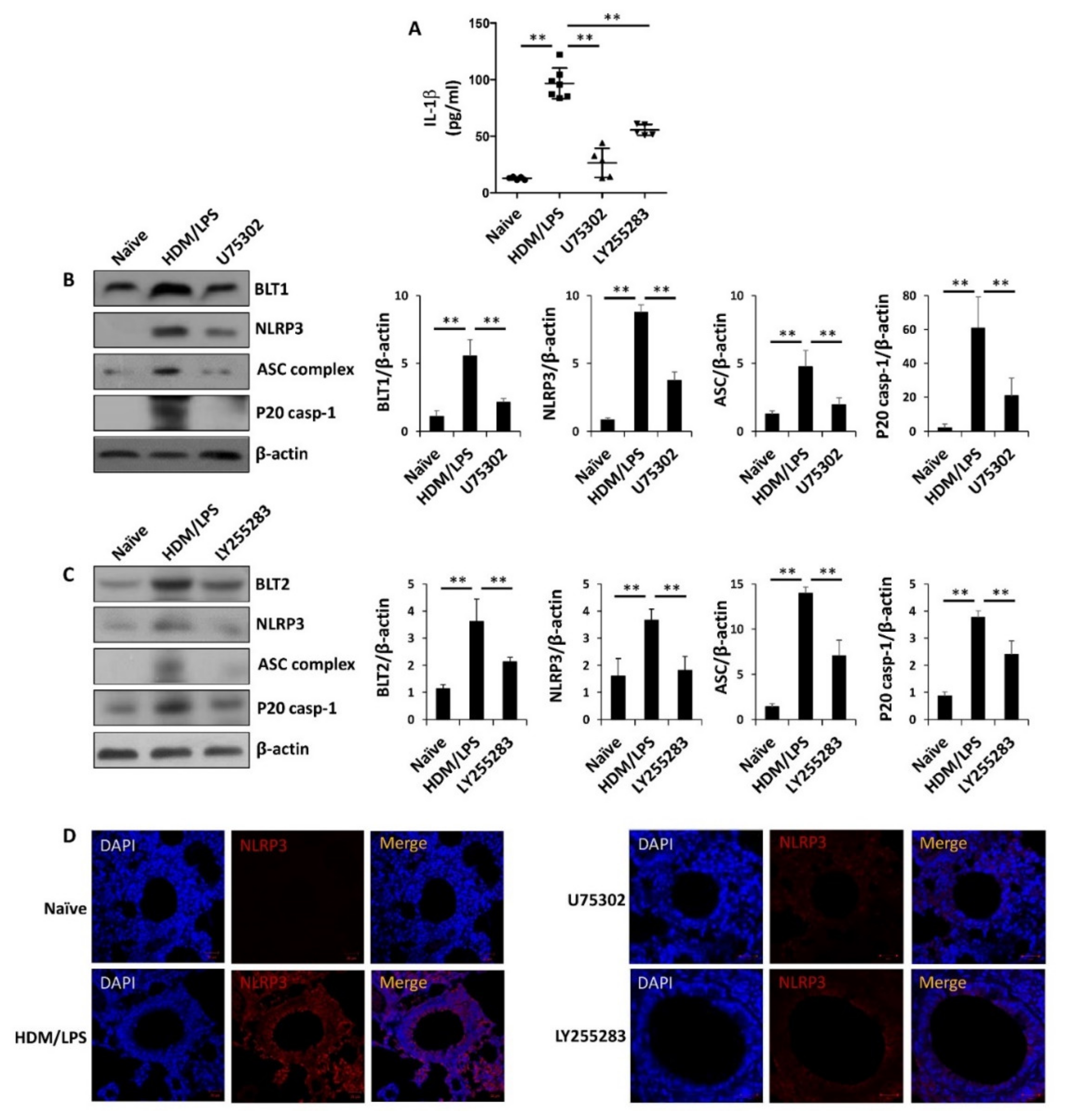 Biomedicines 09 00535 g003a