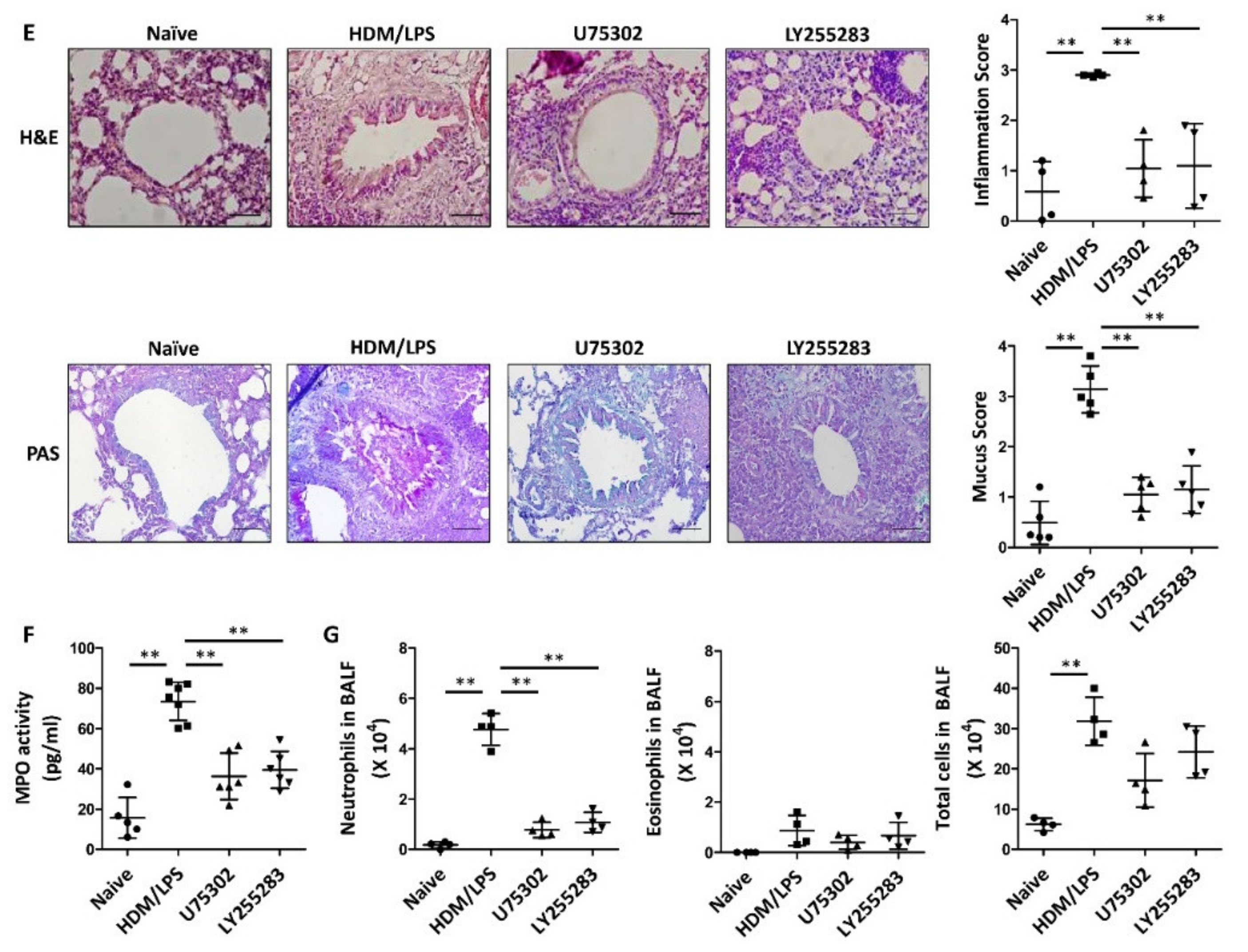 Biomedicines 09 00535 g003b