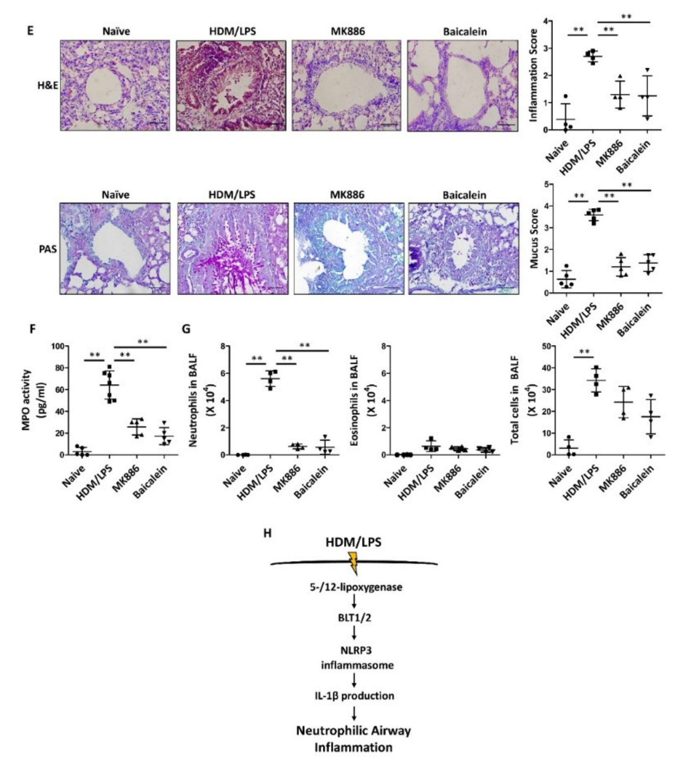 Biomedicines 09 00535 g004b