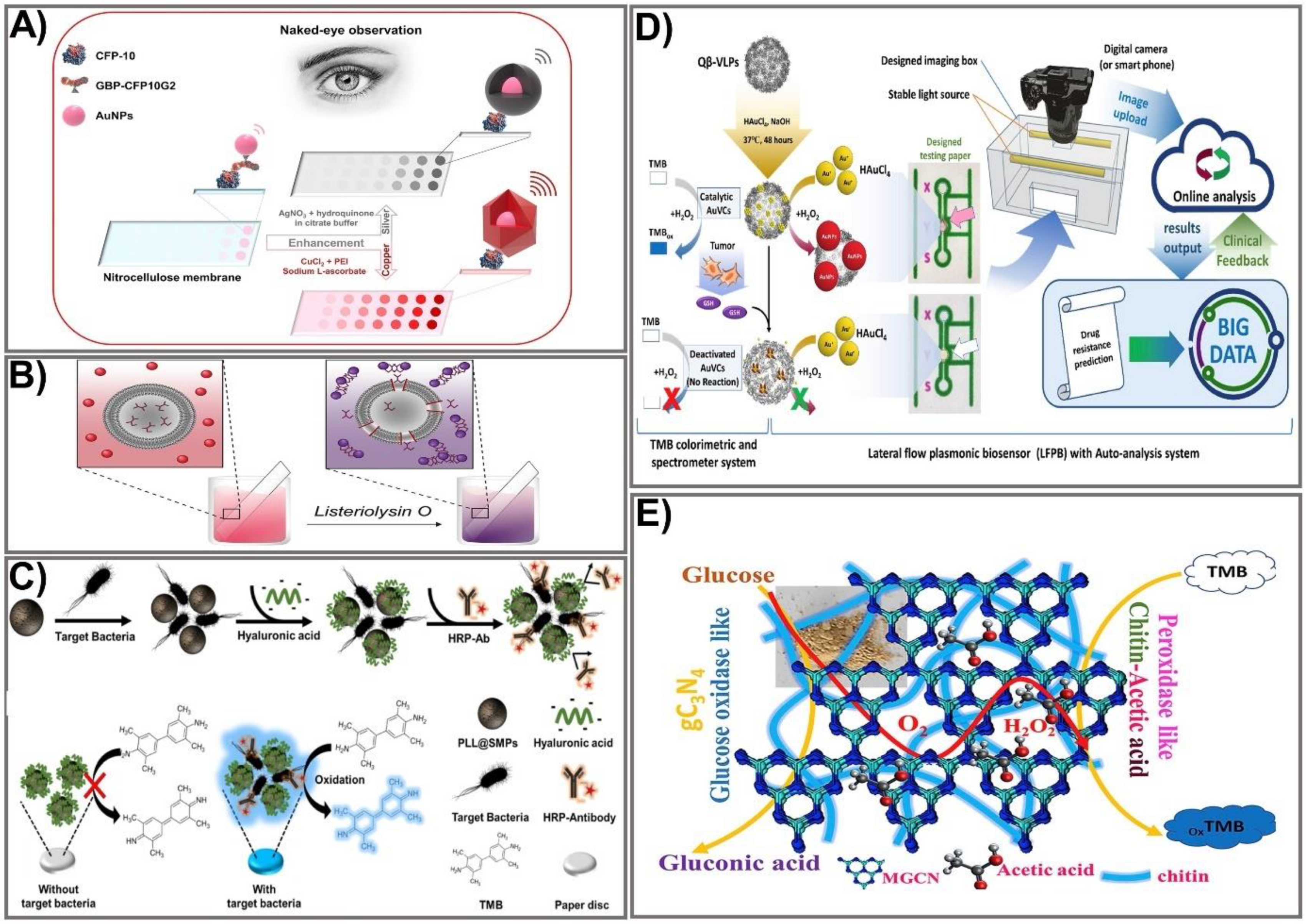 Biomedicines 09 00540 g002