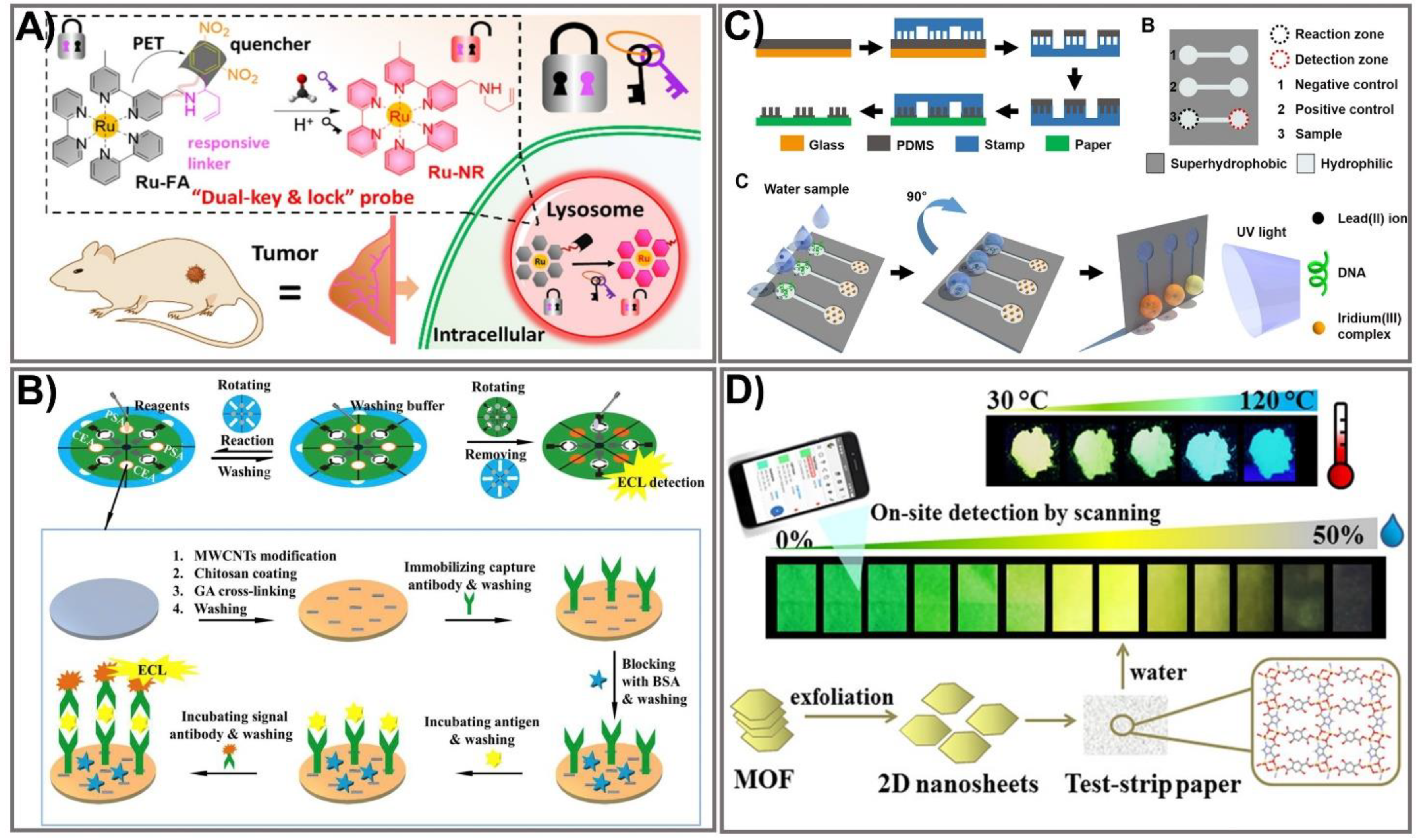 Biomedicines 09 00540 g003
