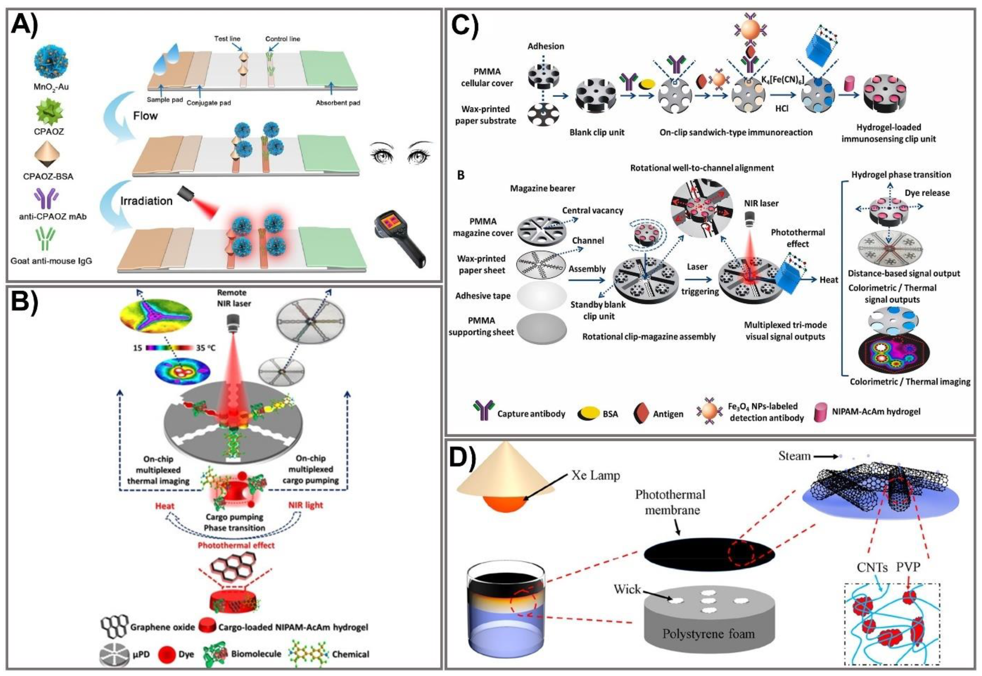 Biomedicines 09 00540 g005