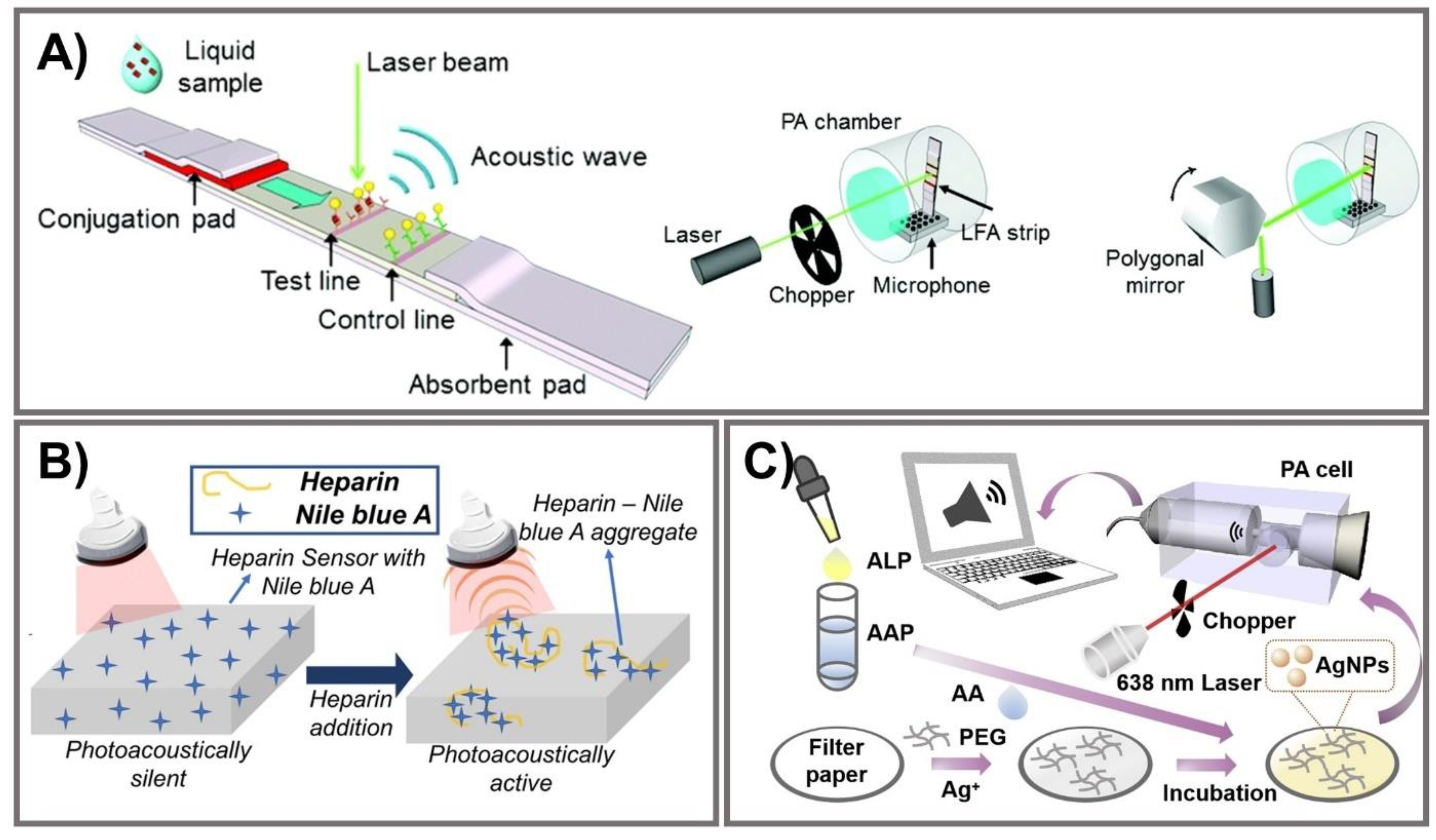 Biomedicines 09 00540 g006