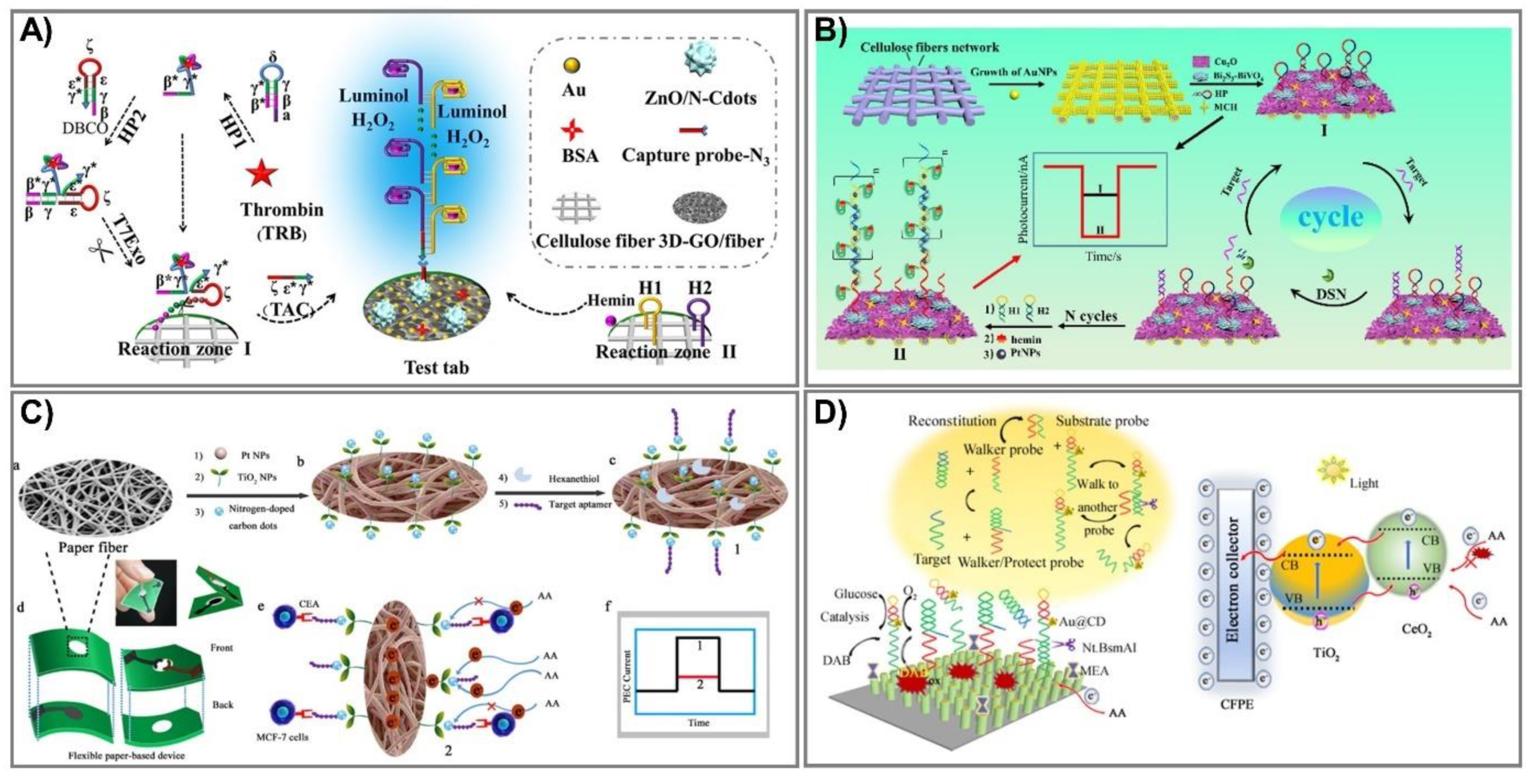 Biomedicines 09 00540 g007