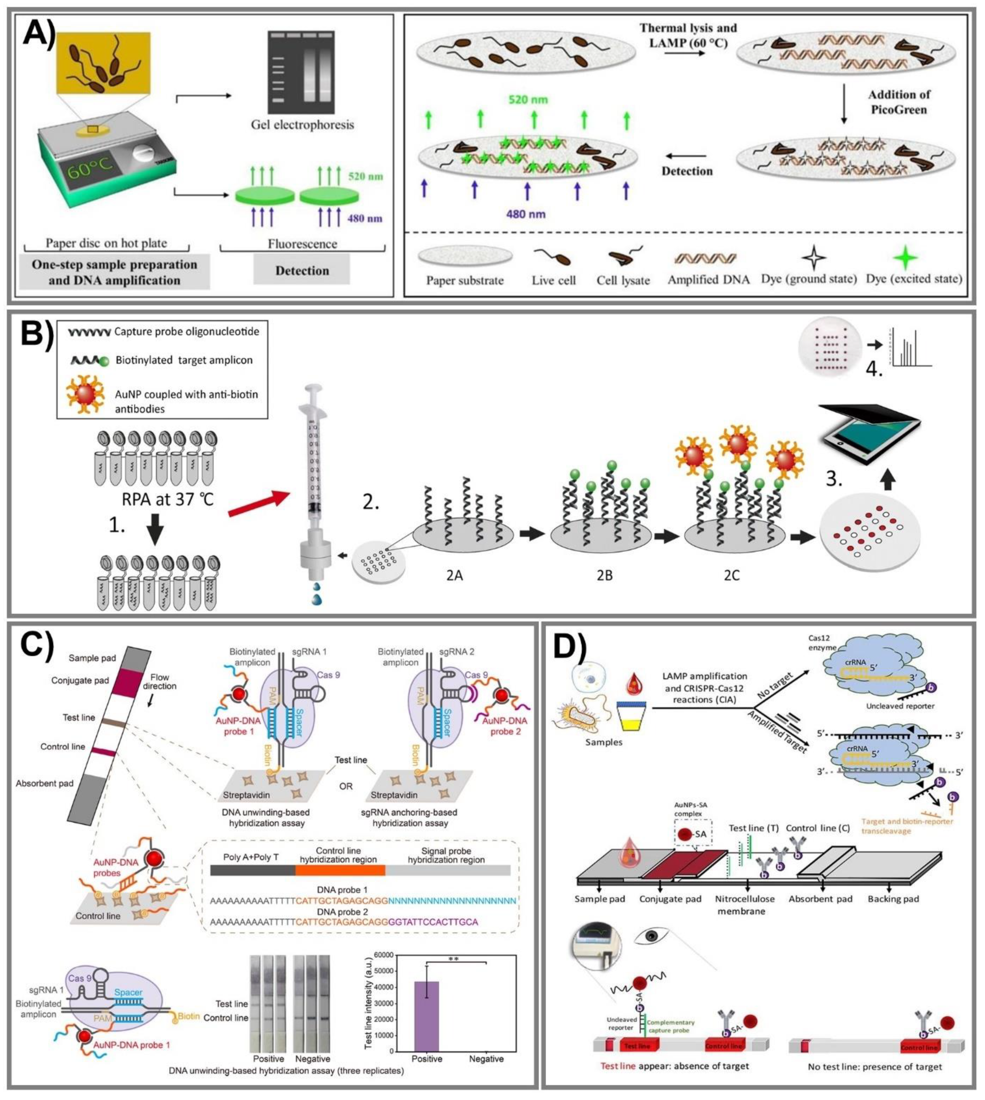 Biomedicines 09 00540 g008