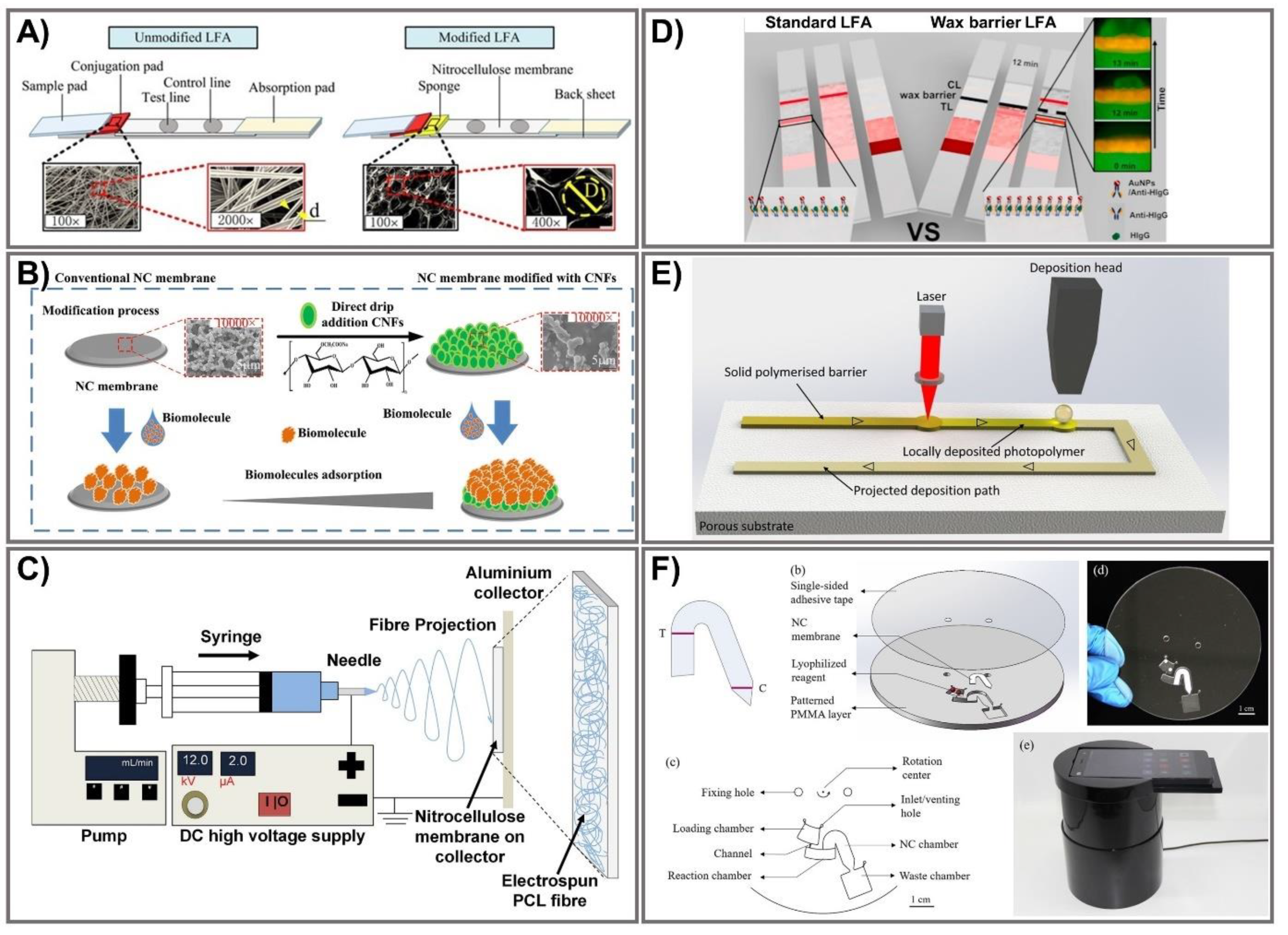 Biomedicines 09 00540 g009