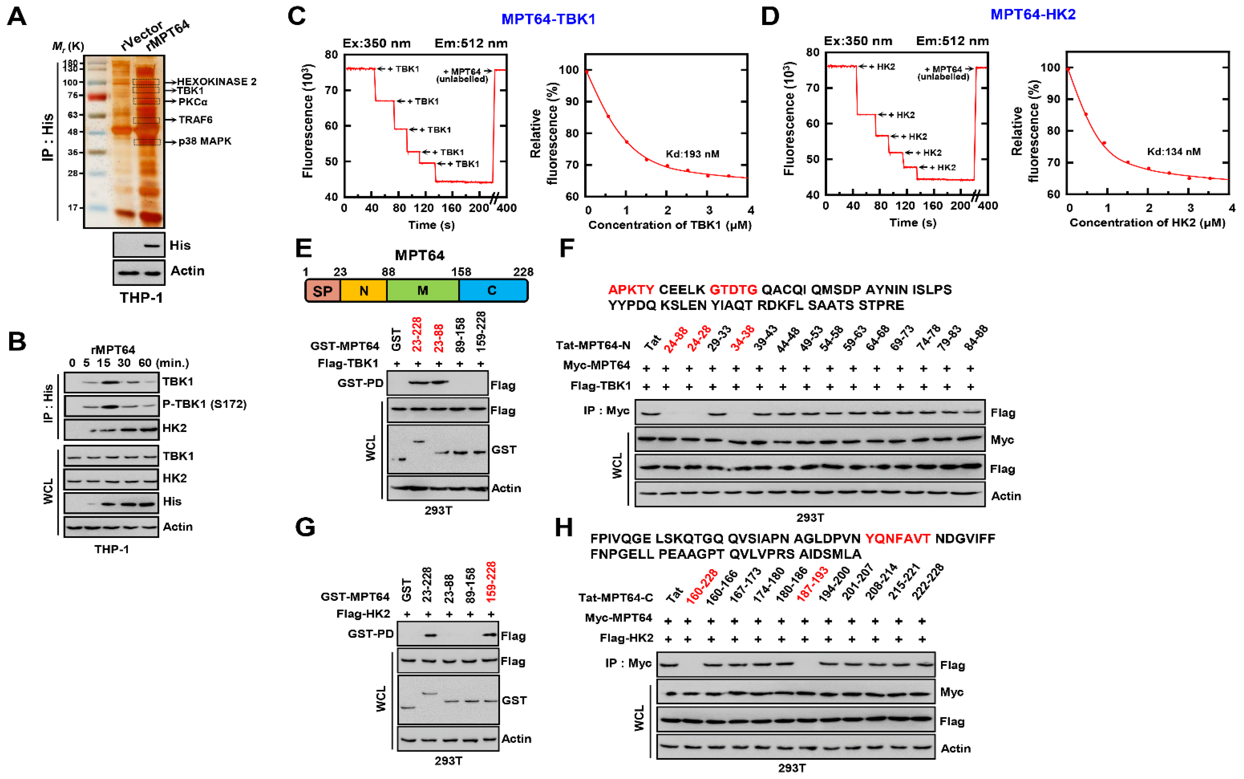 Biomedicines 09 00545 g002