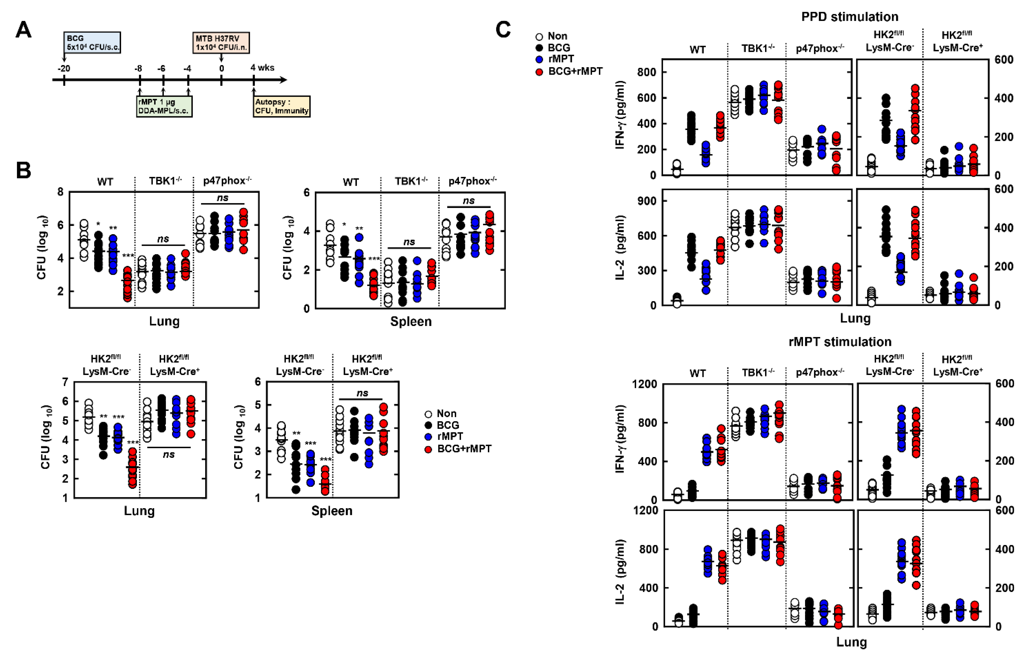 Biomedicines 09 00545 g007