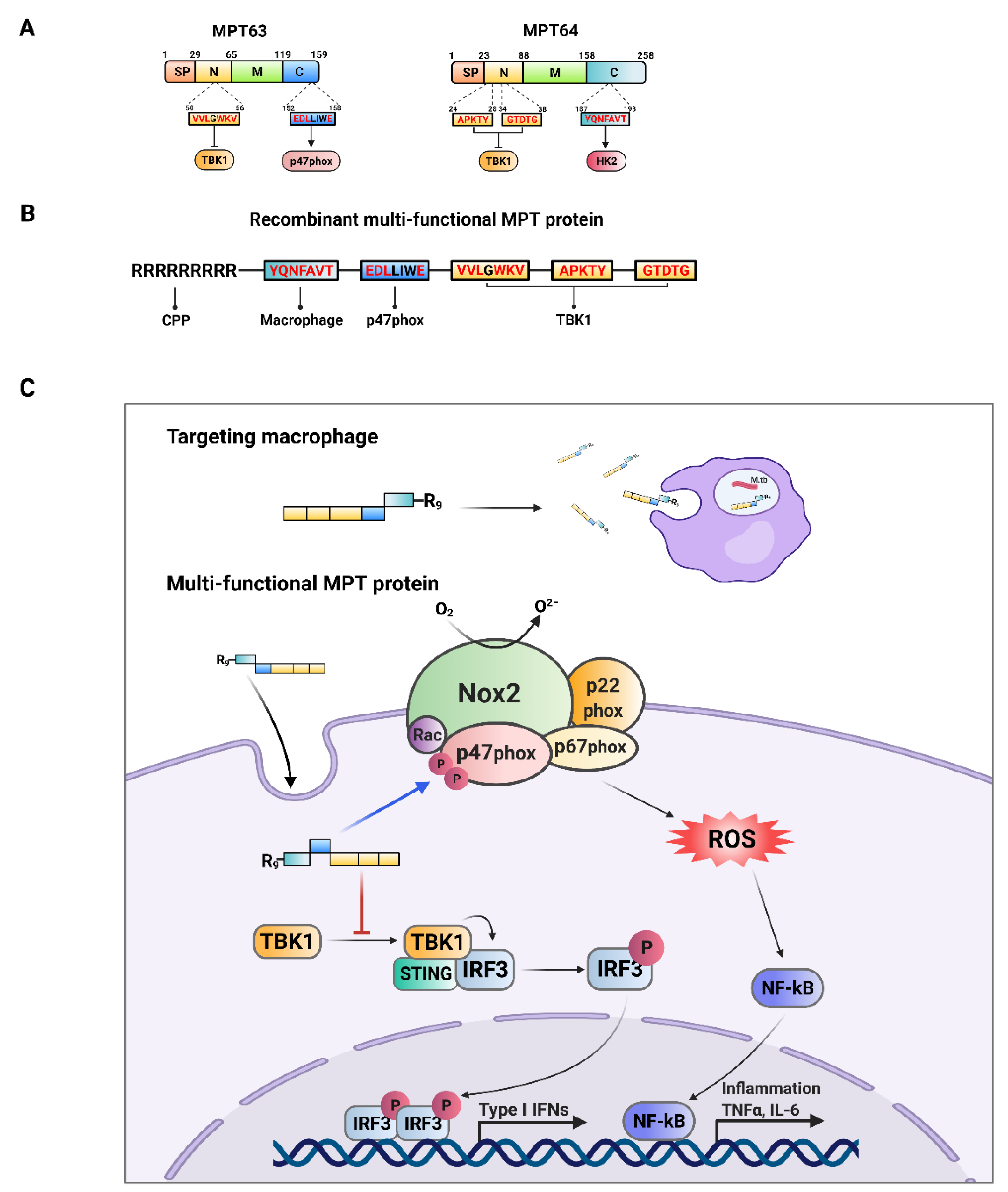 Biomedicines 09 00545 g009