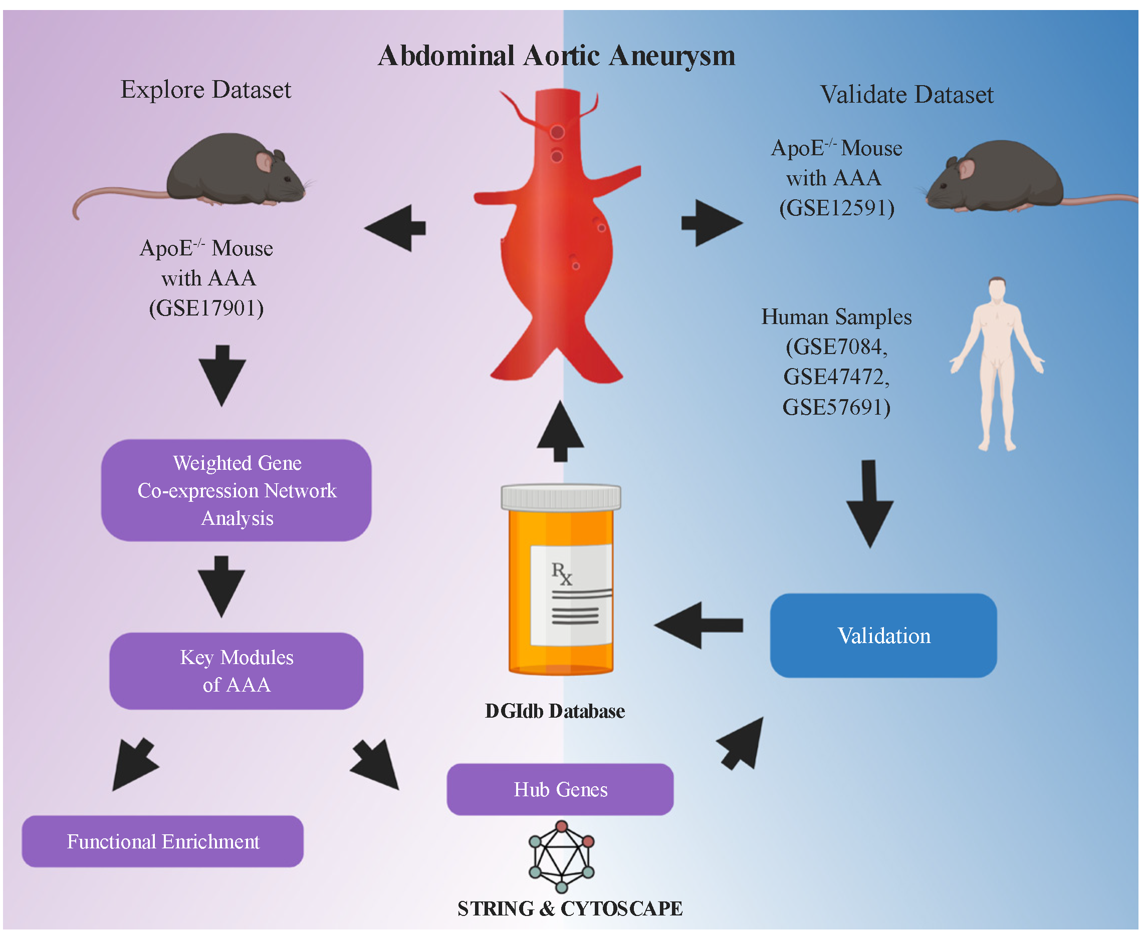 Biomedicines 09 00546 g001 Biomedicines 09 00546 g001