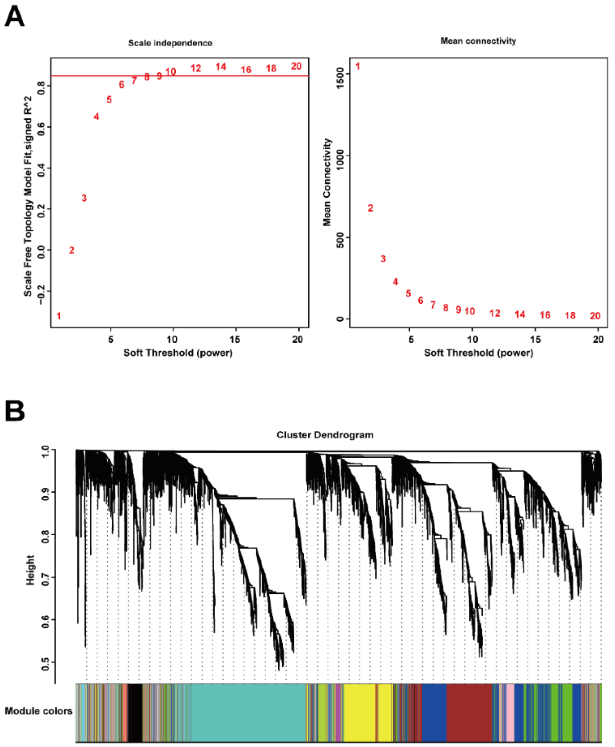 Biomedicines 09 00546 g002 Biomedicines 09 00546 g002