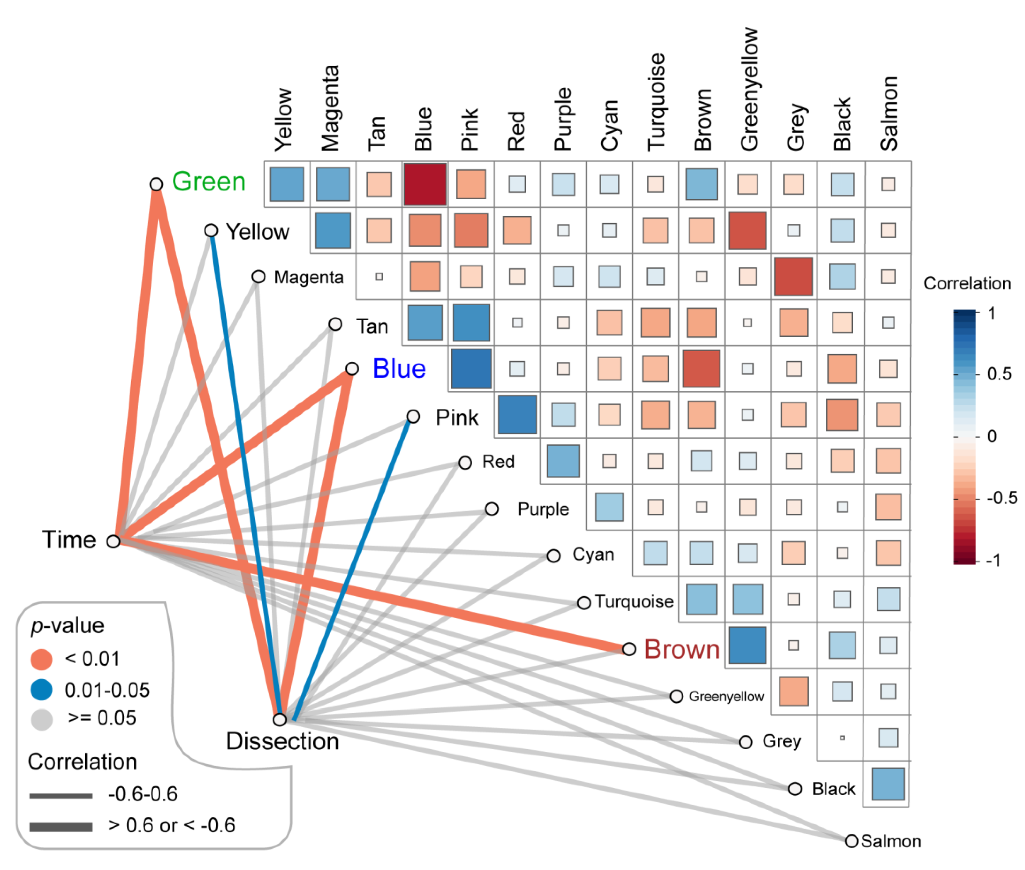 Biomedicines 09 00546 g003 Biomedicines 09 00546 g003