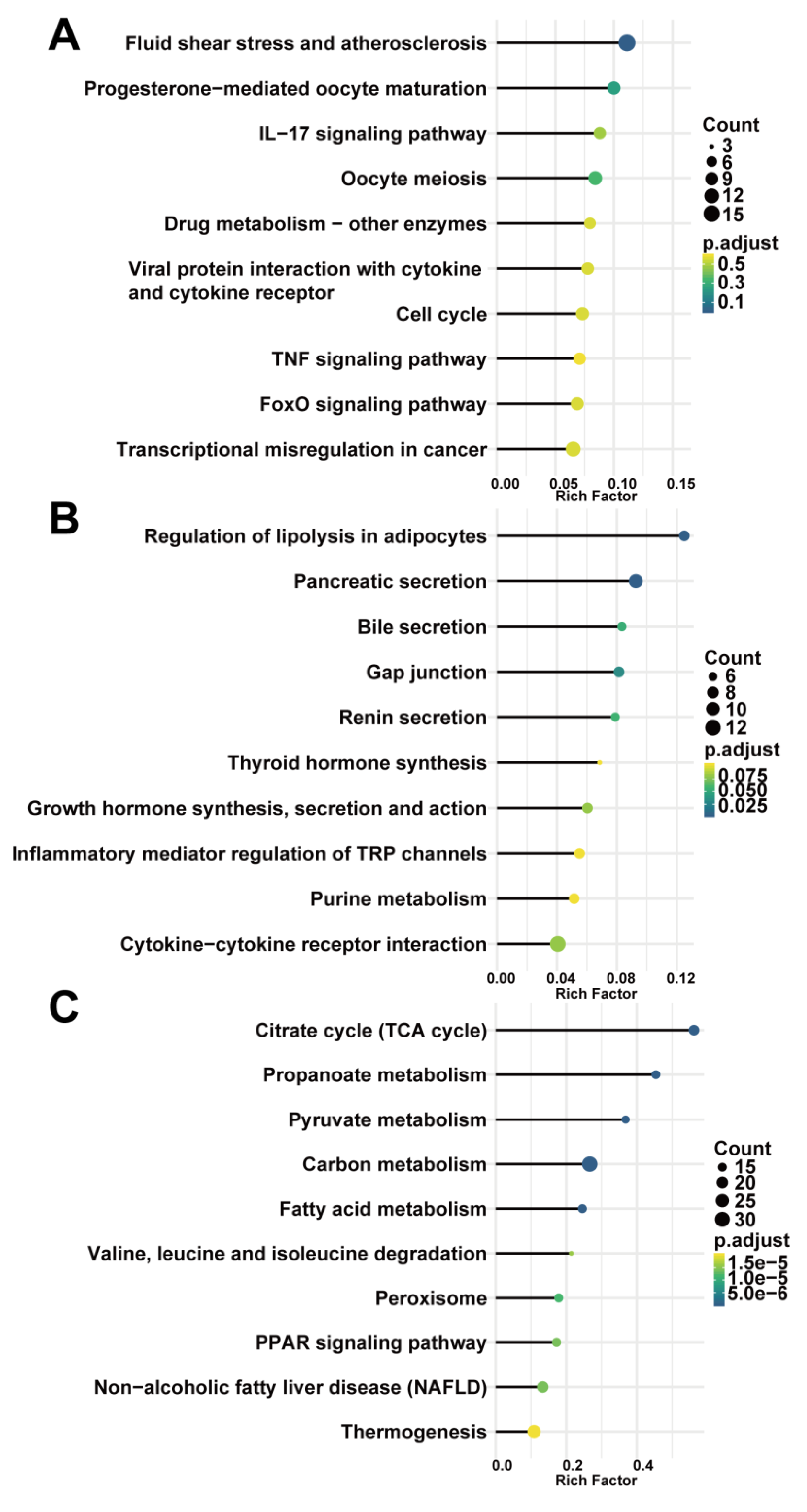 Biomedicines 09 00546 g005 Biomedicines 09 00546 g005