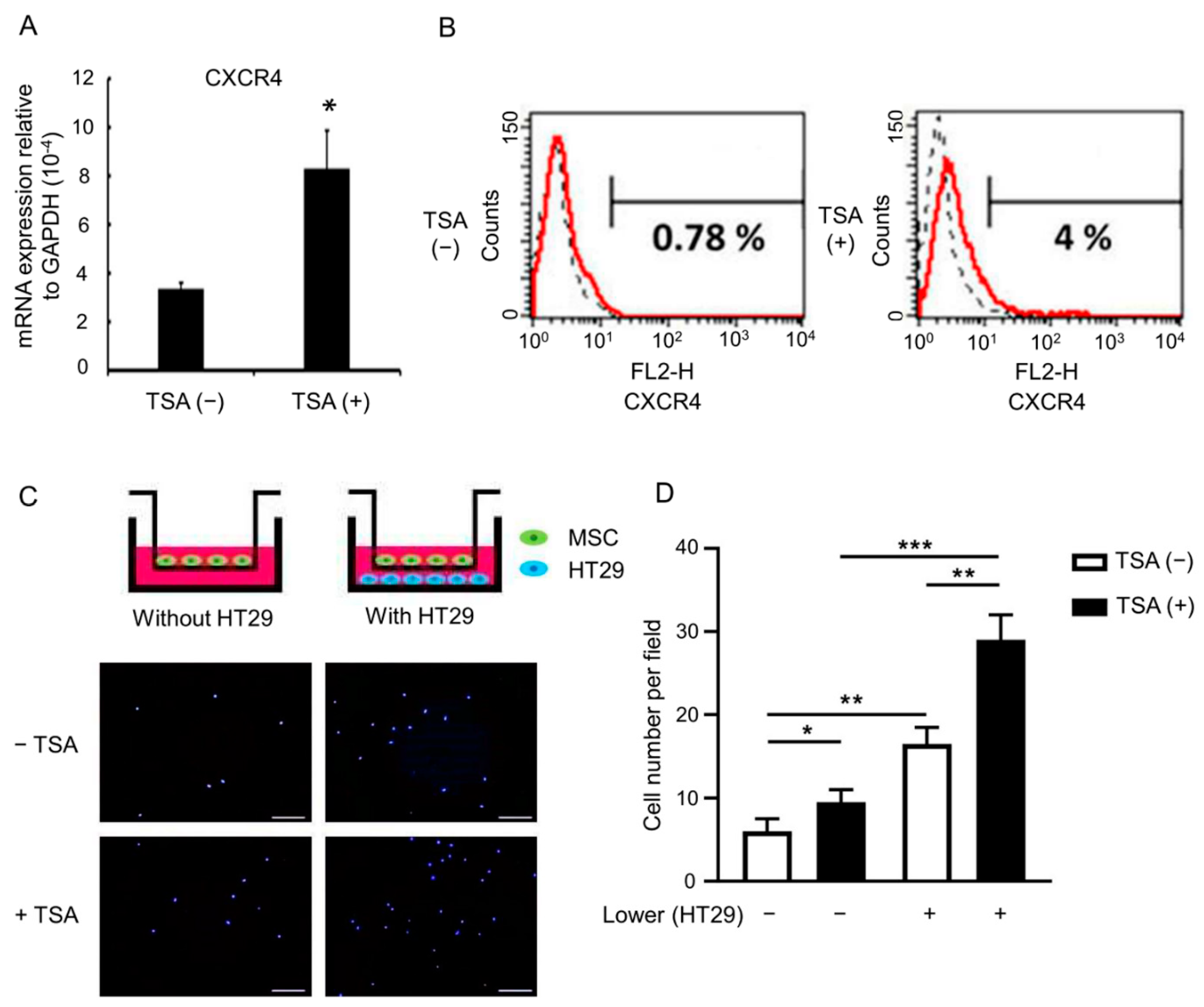 Biomedicines 09 00548 g001