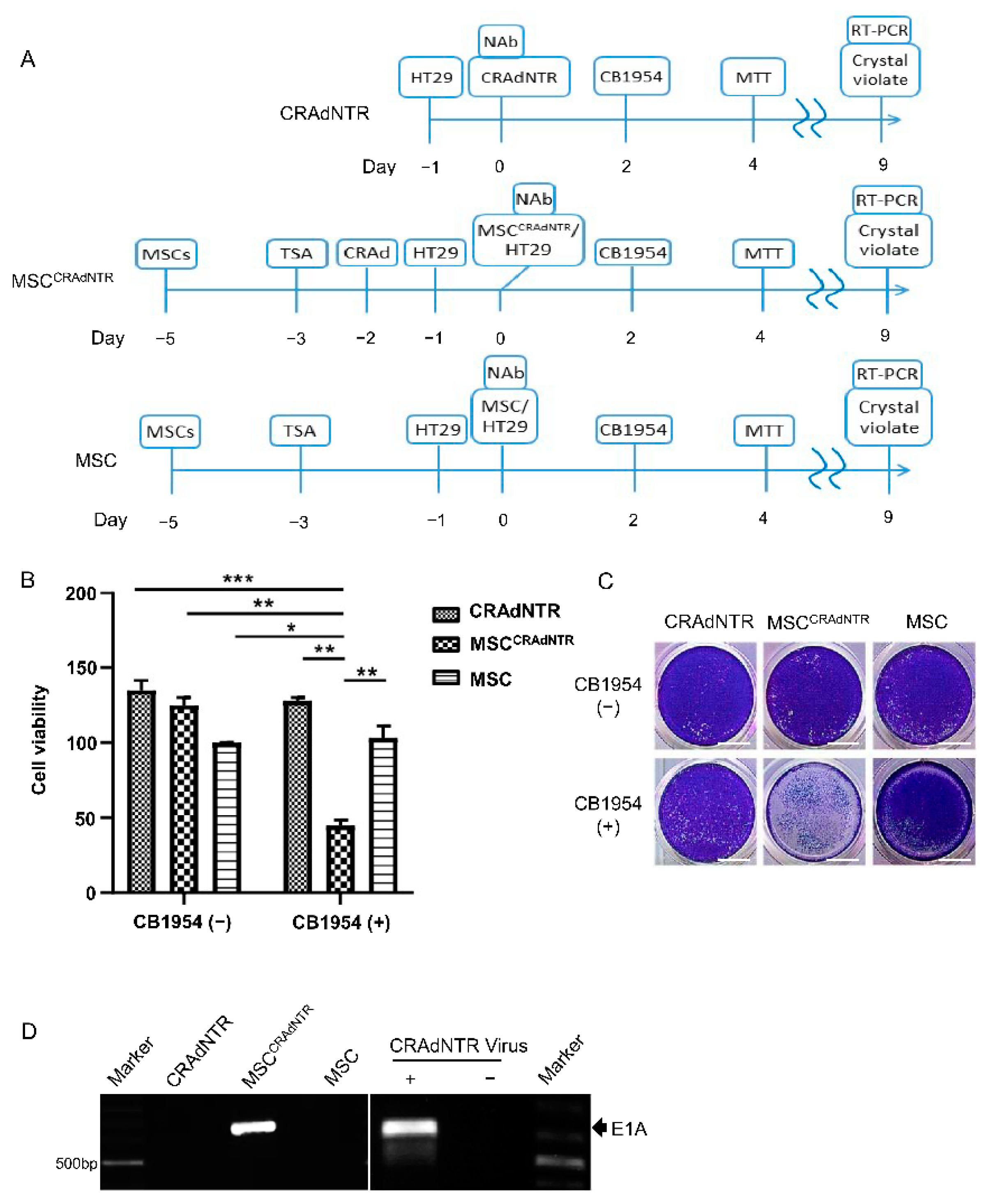 Biomedicines 09 00548 g003