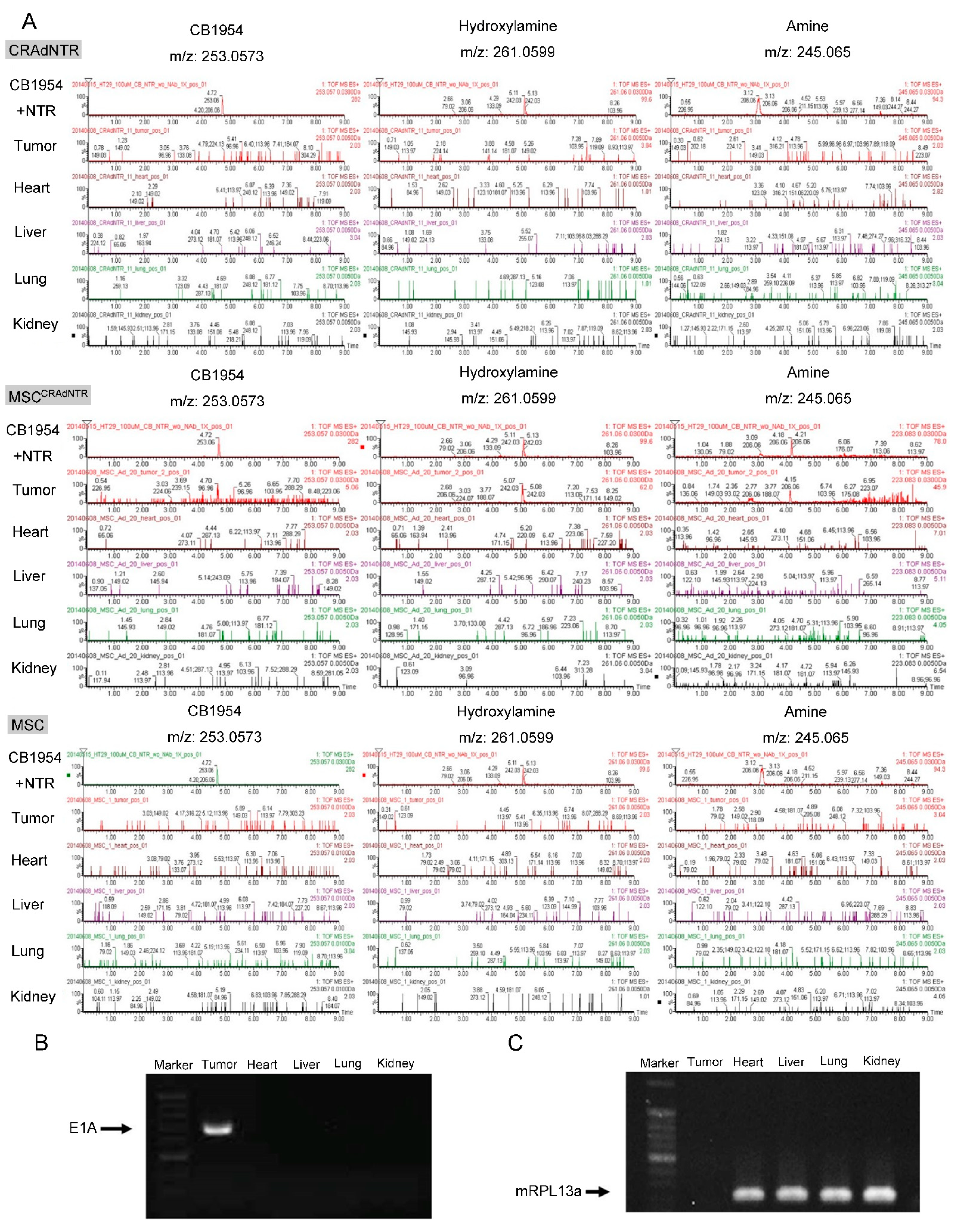 Biomedicines 09 00548 g006