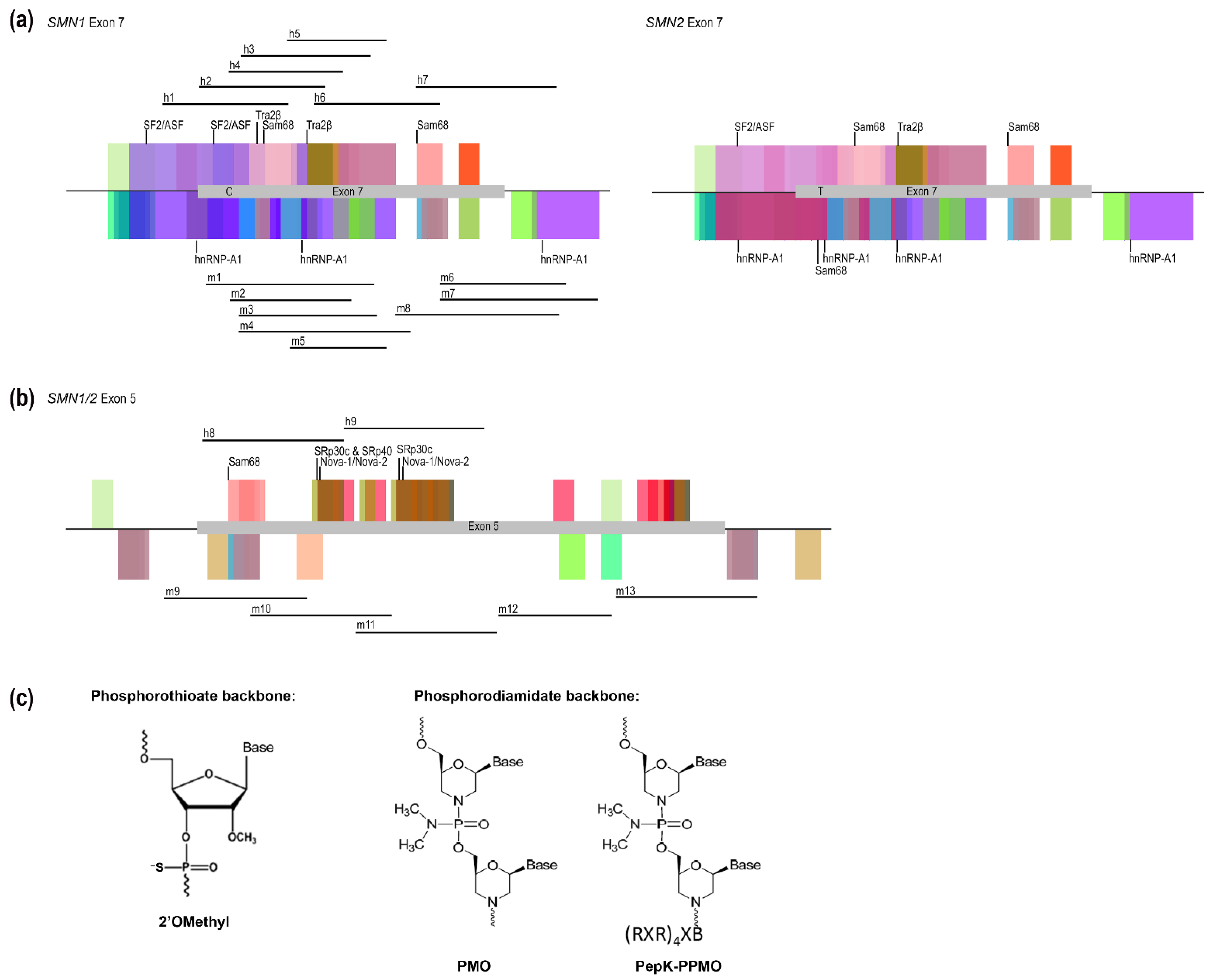 Biomedicines 09 00552 g001