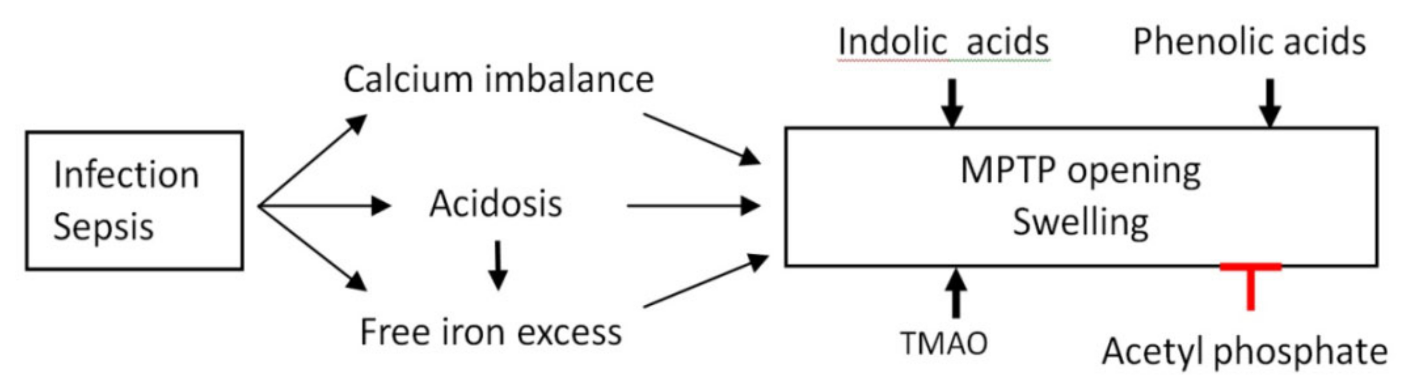 Biomedicines 09 00558 g007 Biomedicines 09 00558 g007